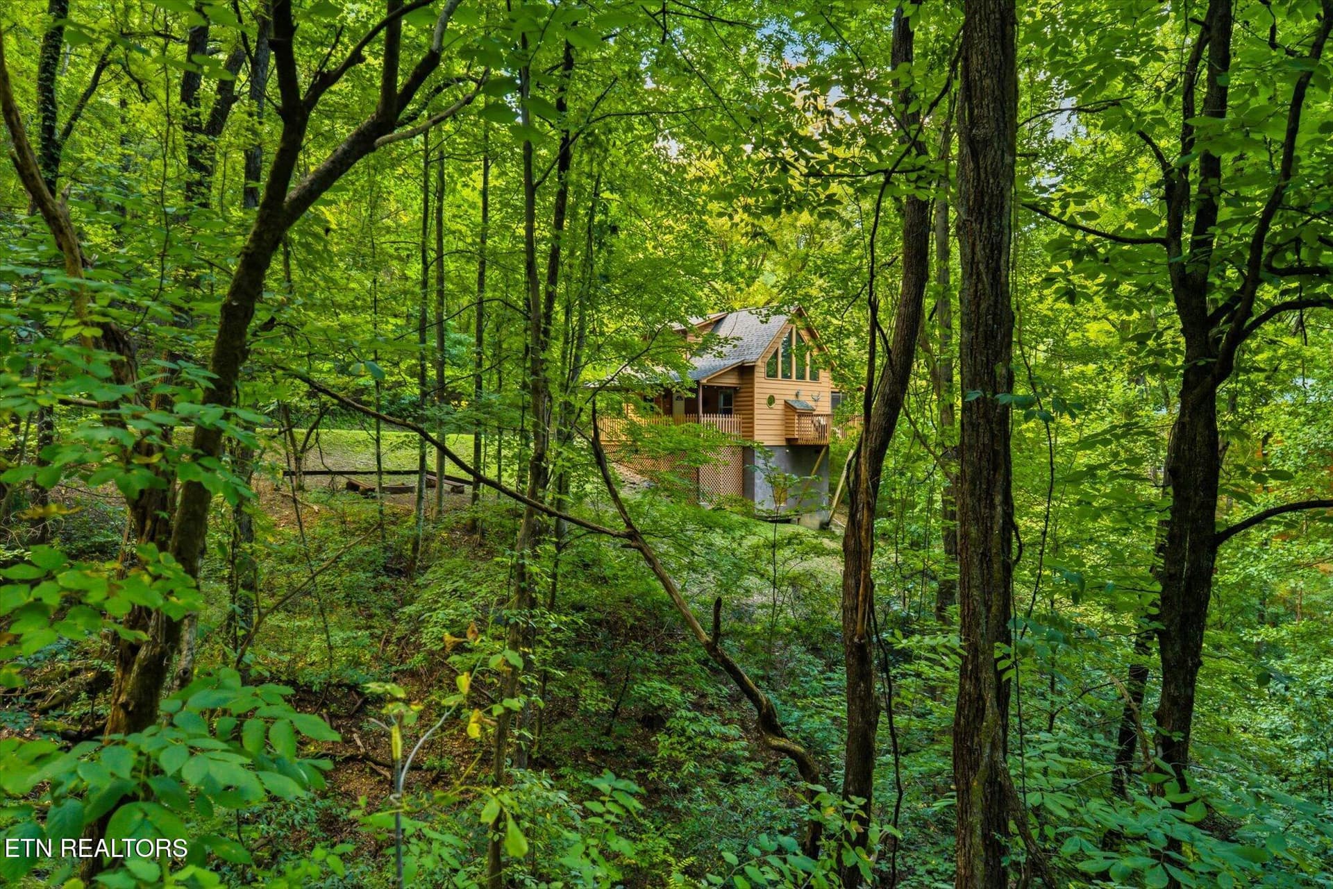 02 - 3163 Sourwood Way, Sevierville, TN 37862