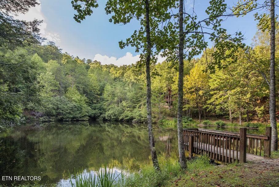 12 - 3163 Sourwood Way, Sevierville, TN 37862