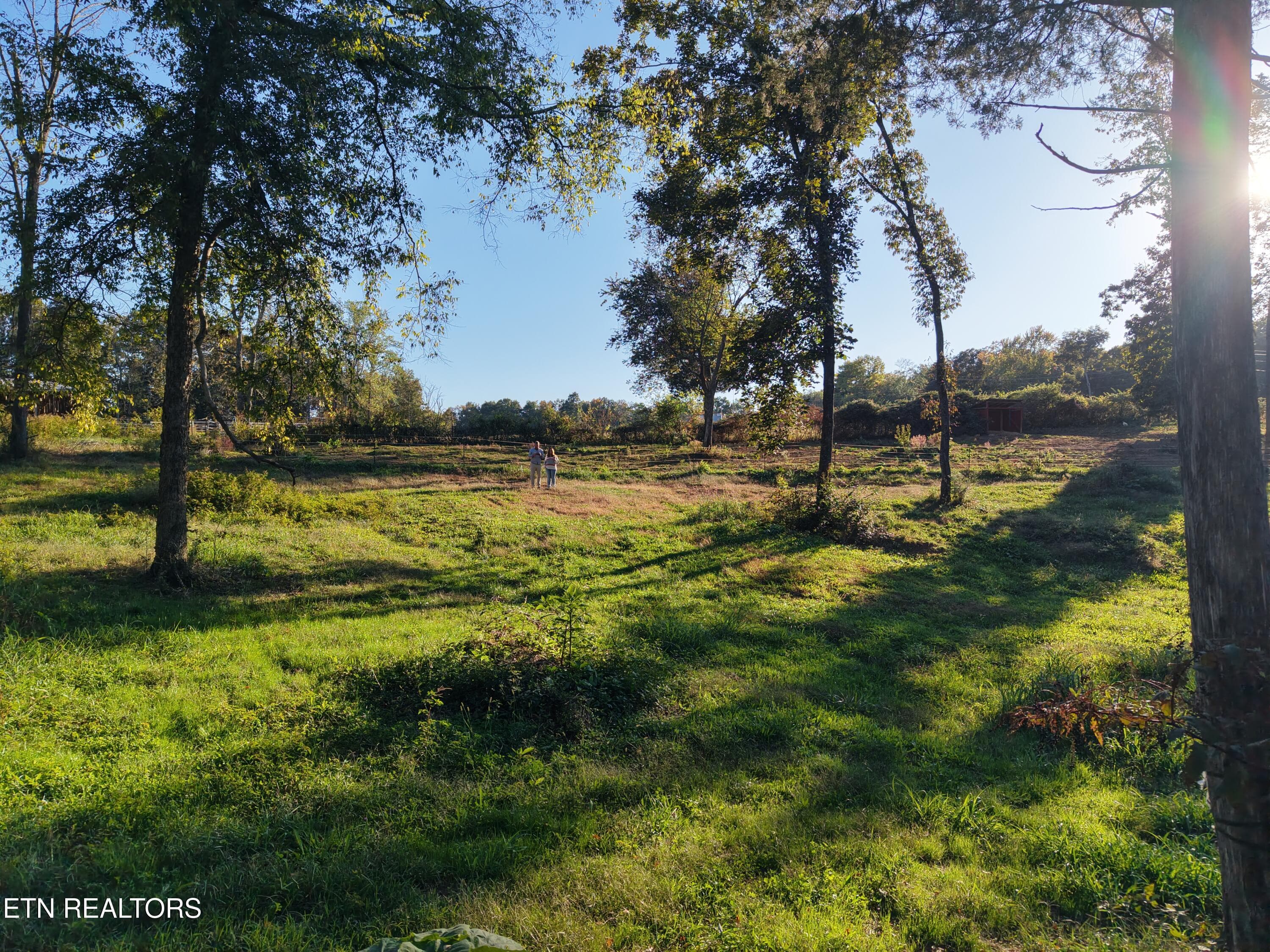 DJI_20261024052421_0022_D - 145 Linwood Drive, Sweetwater, TN 37874