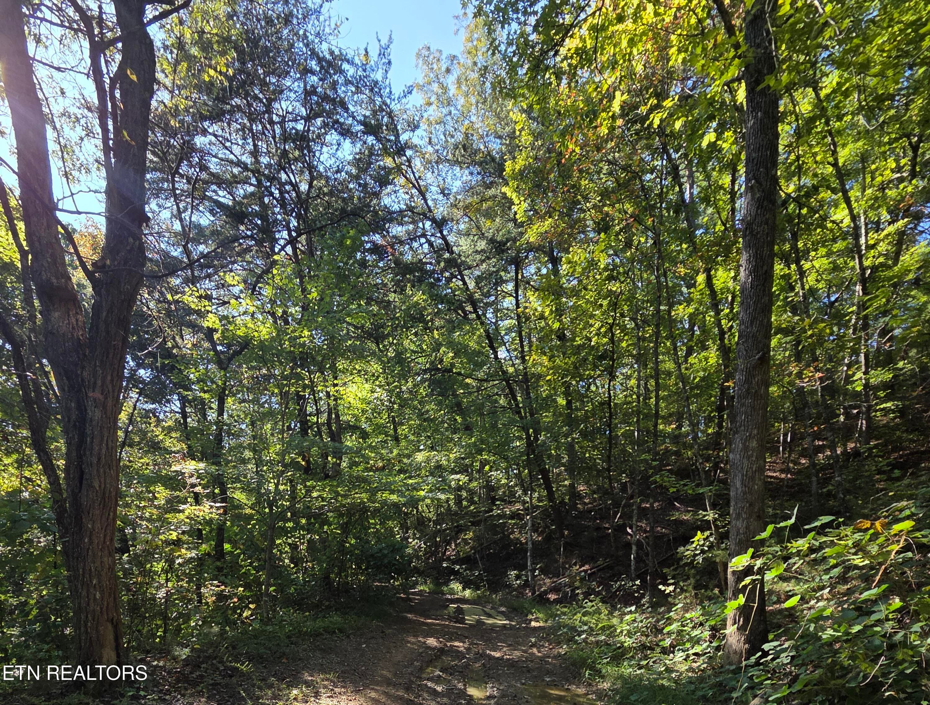 Lot 98 Redbud Lane, Sevierville, TN 37876