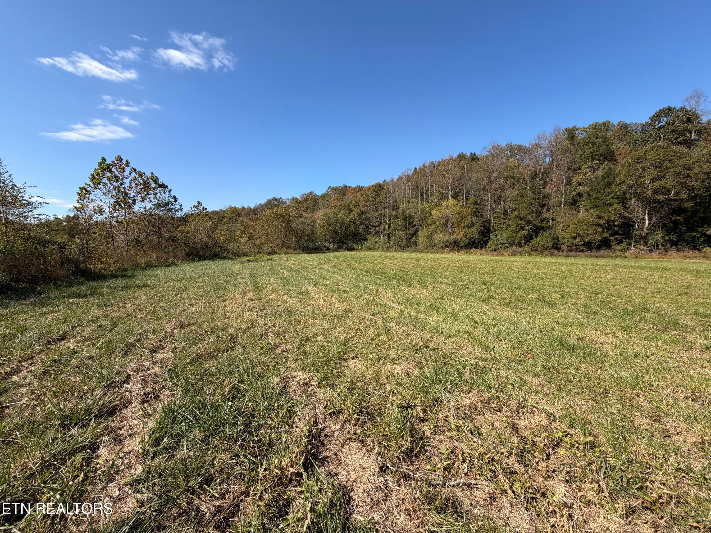 _Main IMG_ - 6797 Stinking Creek Rd, Pioneer, TN 37847