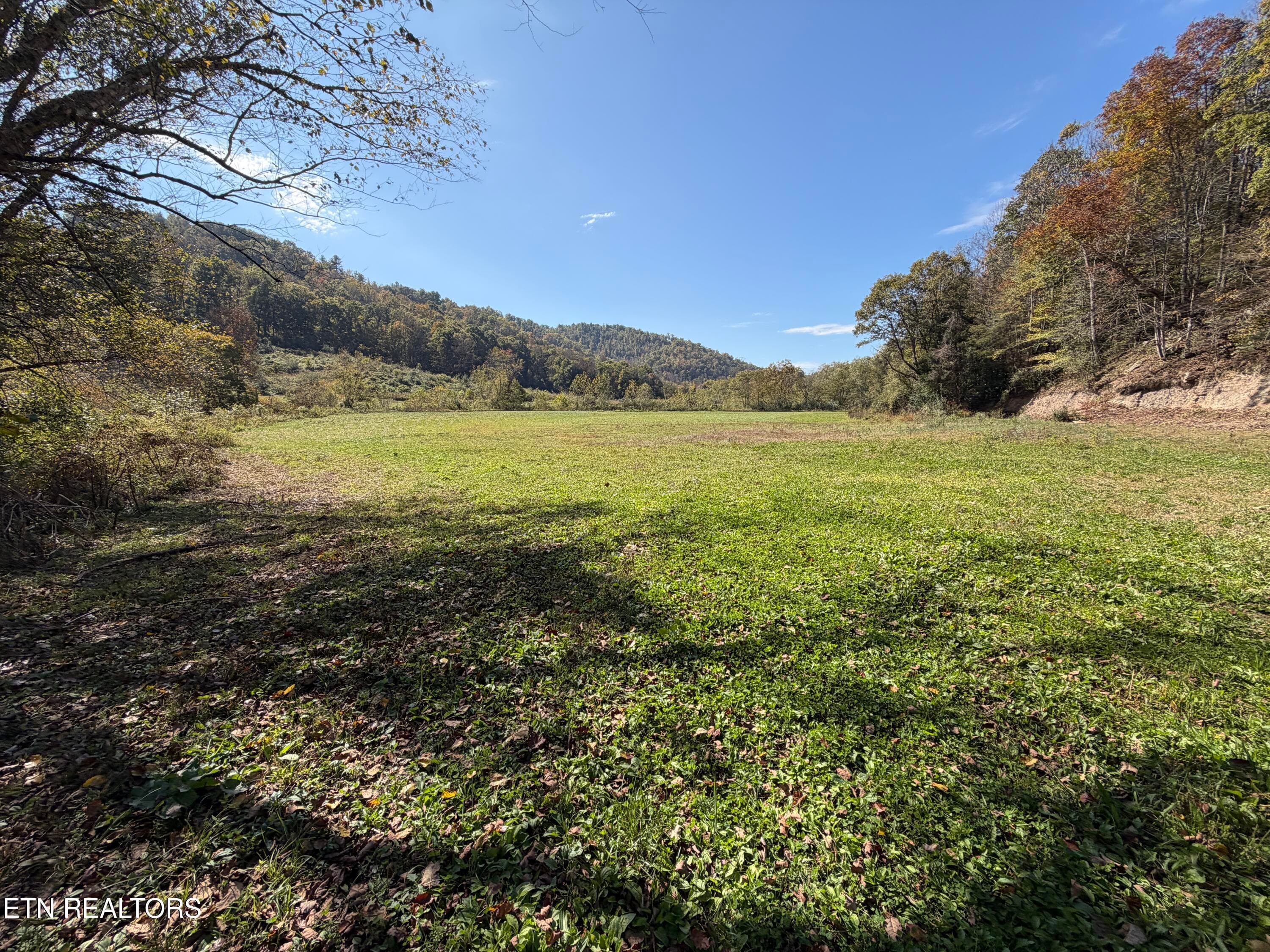 0F263C30-A7B5-4DF5-B0EC-5E32FAEF714F - 6797 Stinking Creek Rd, Pioneer, TN 37847