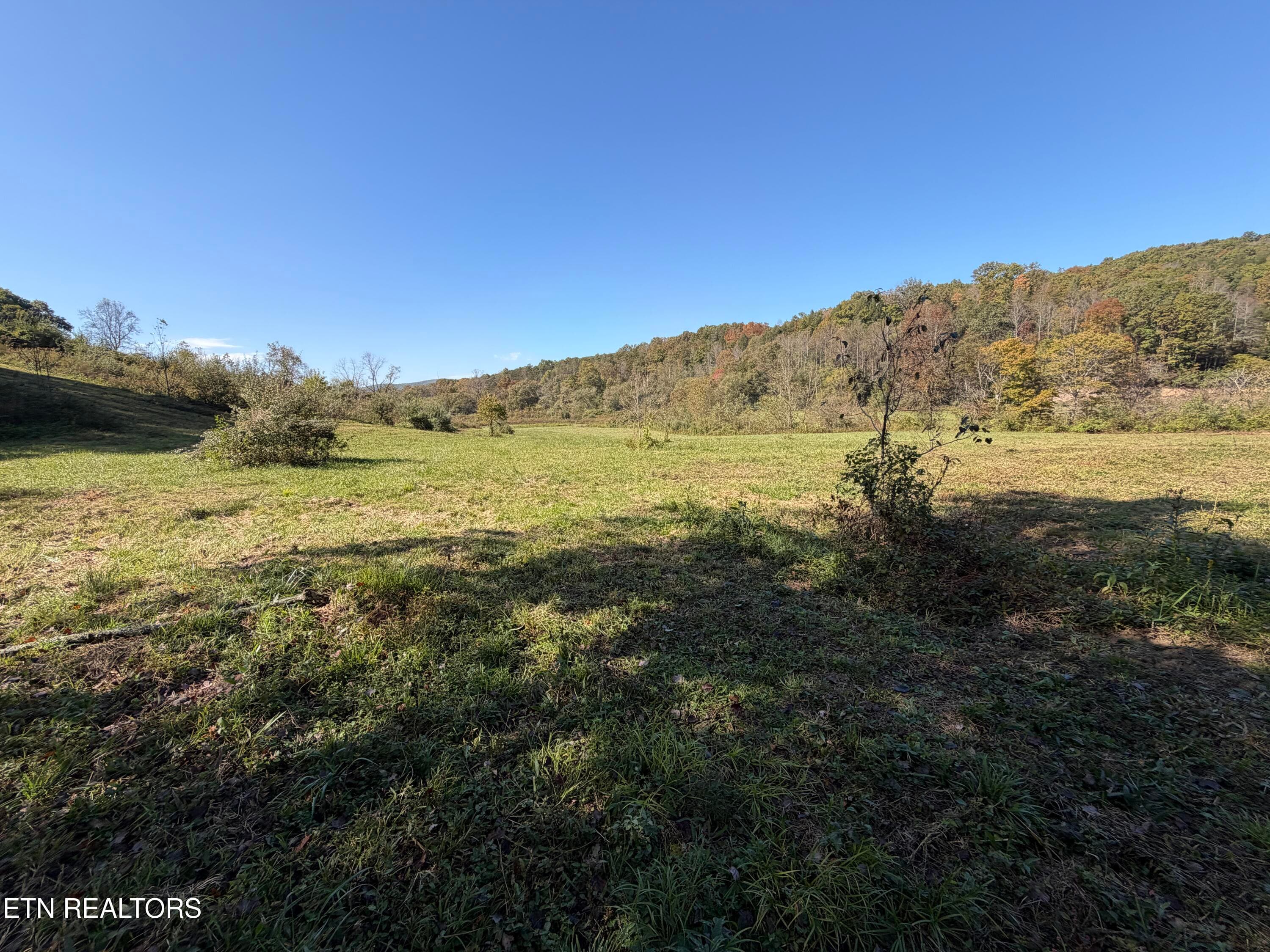 1E210AB7-921F-407D-A5CE-4351AC7B1CDC - 6797 Stinking Creek Rd, Pioneer, TN 37847