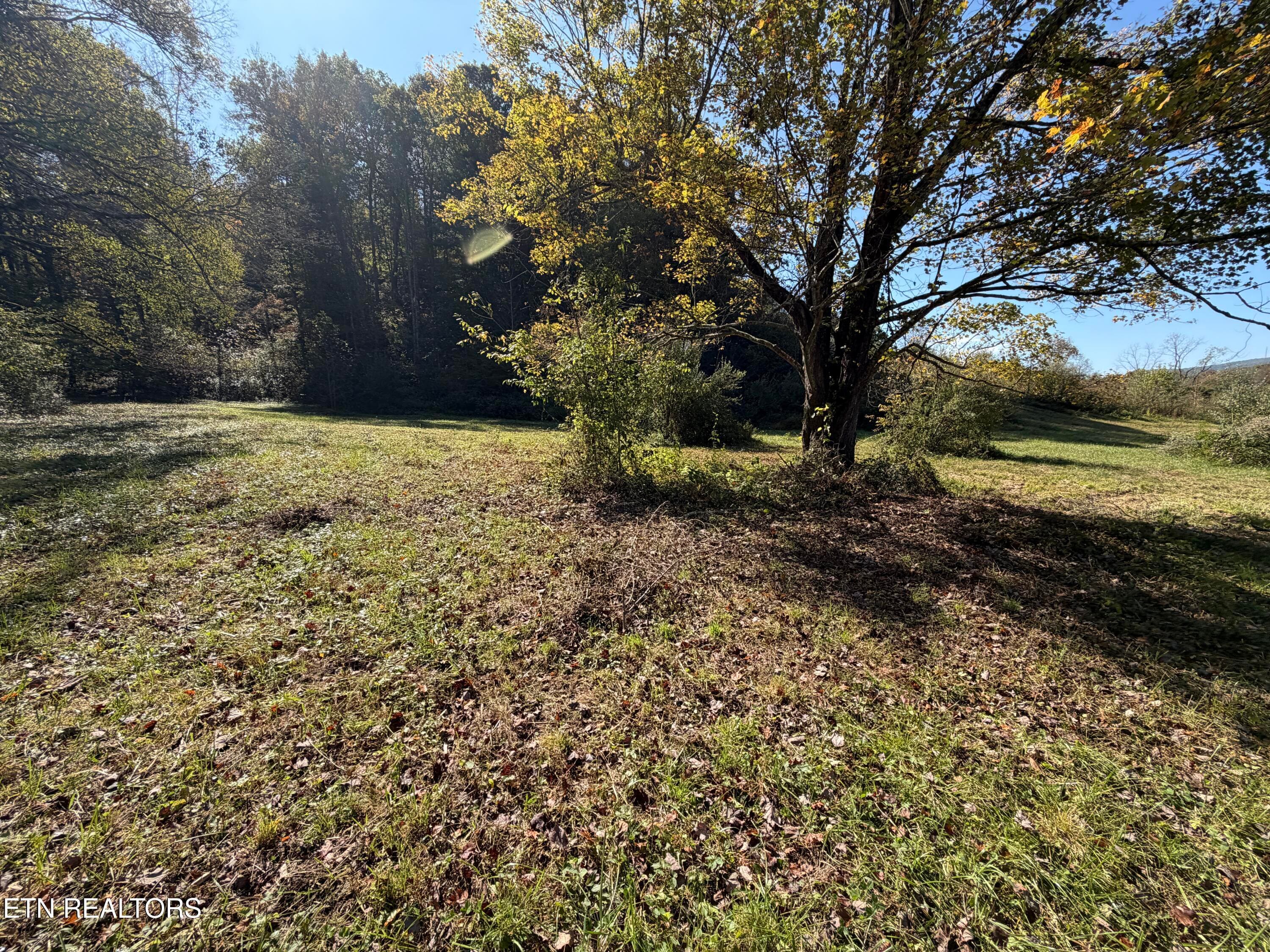 87F035C0-37C5-4B6F-A38E-47666D6494F6 - 6797 Stinking Creek Rd, Pioneer, TN 37847