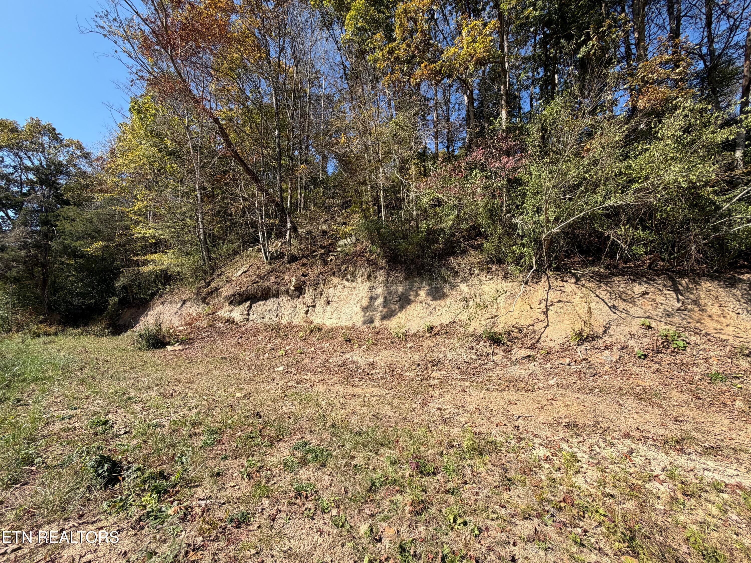 0293E7C7-6A43-4595-9BD4-CF5CB156EF1C - 6797 Stinking Creek Rd, Pioneer, TN 37847