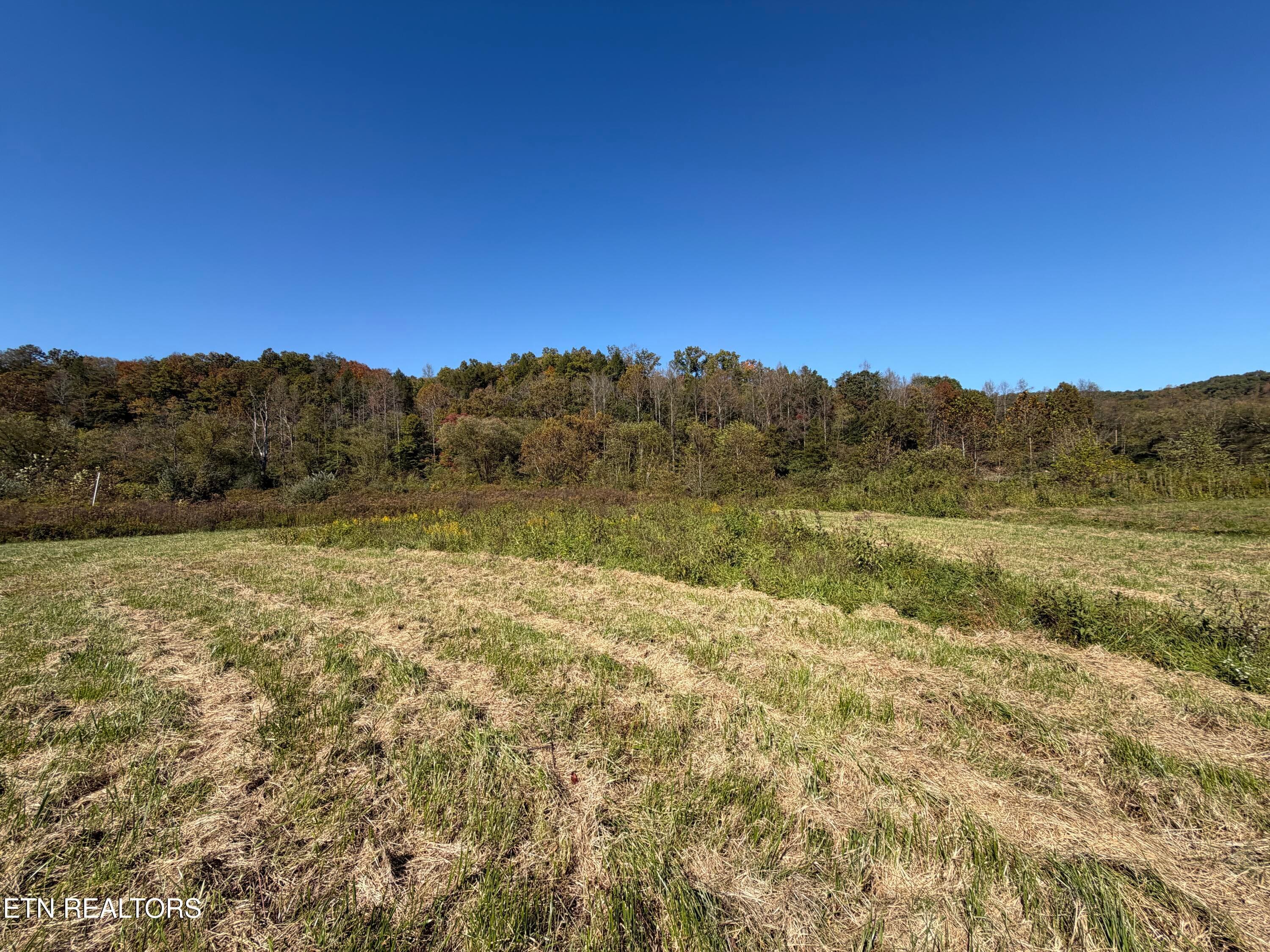 305FDBF8-A05B-4CC9-AED7-3F213DCEBB2A - 6797 Stinking Creek Rd, Pioneer, TN 37847