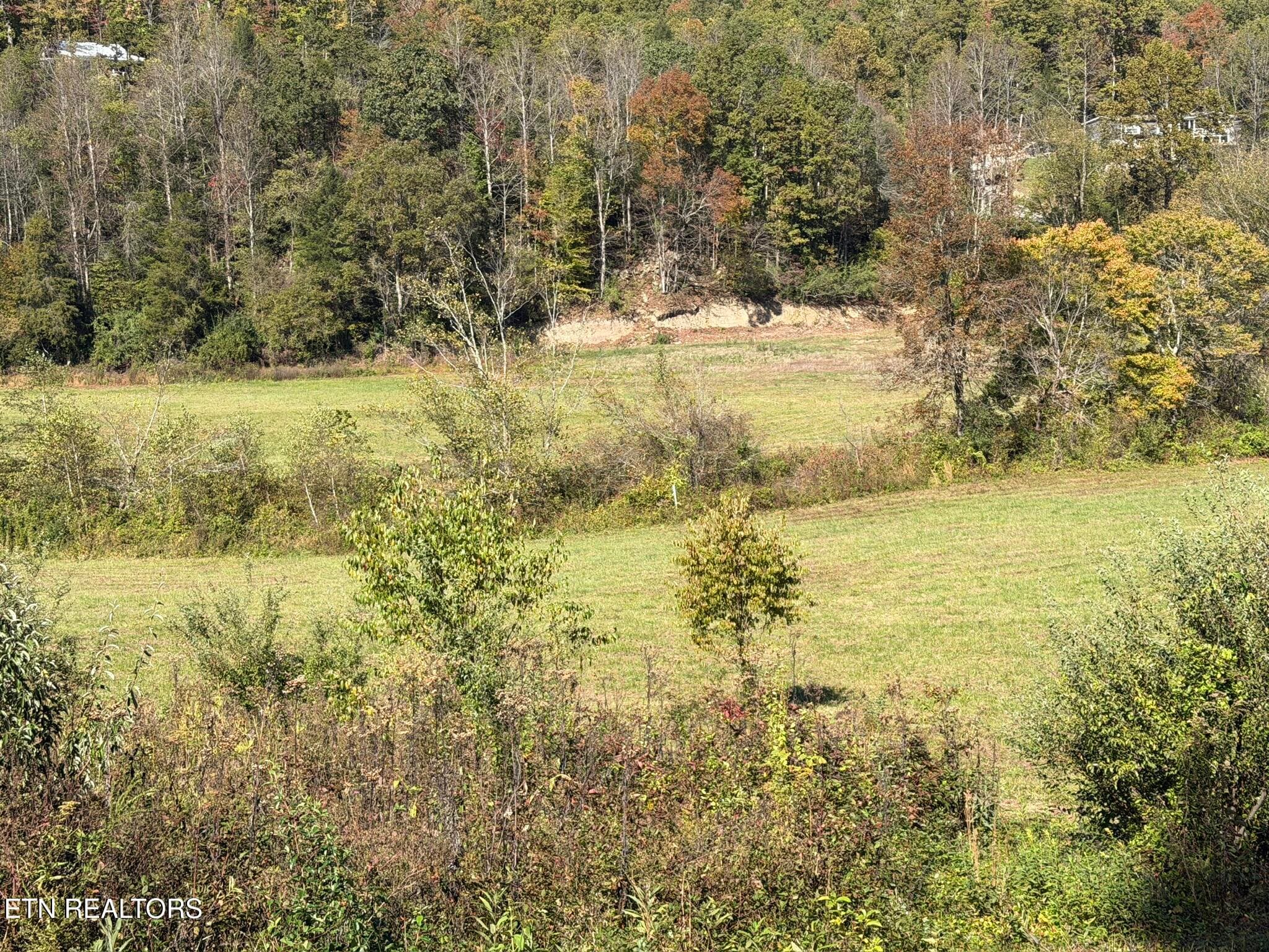 910E1540-4E2E-4412-A940-6A5220F4A767_1_1 - 6797 Stinking Creek Rd, Pioneer, TN 37847