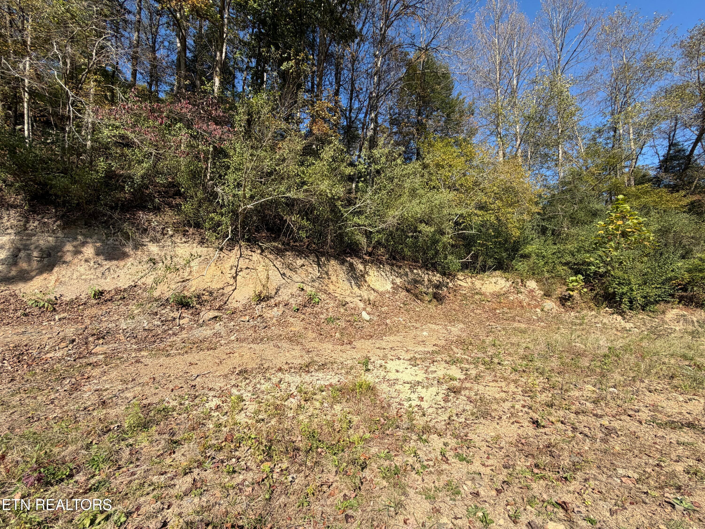 1554B38B-8F84-49CD-94AF-83E44DF84E6C - 6797 Stinking Creek Rd, Pioneer, TN 37847