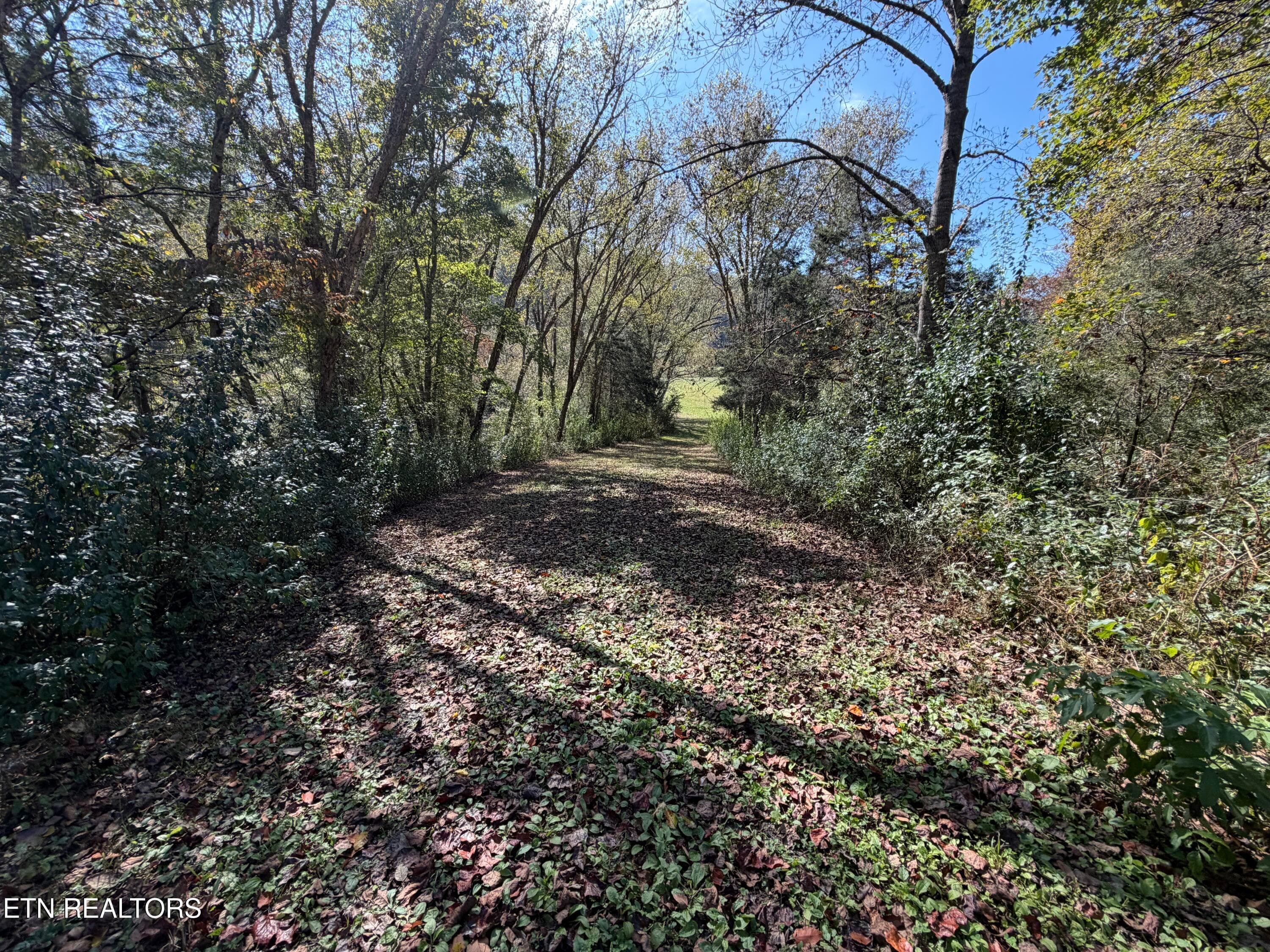 6414BF6C-2F9E-4F96-9B7A-DDA8D4A9E6B7 - 6797 Stinking Creek Rd, Pioneer, TN 37847