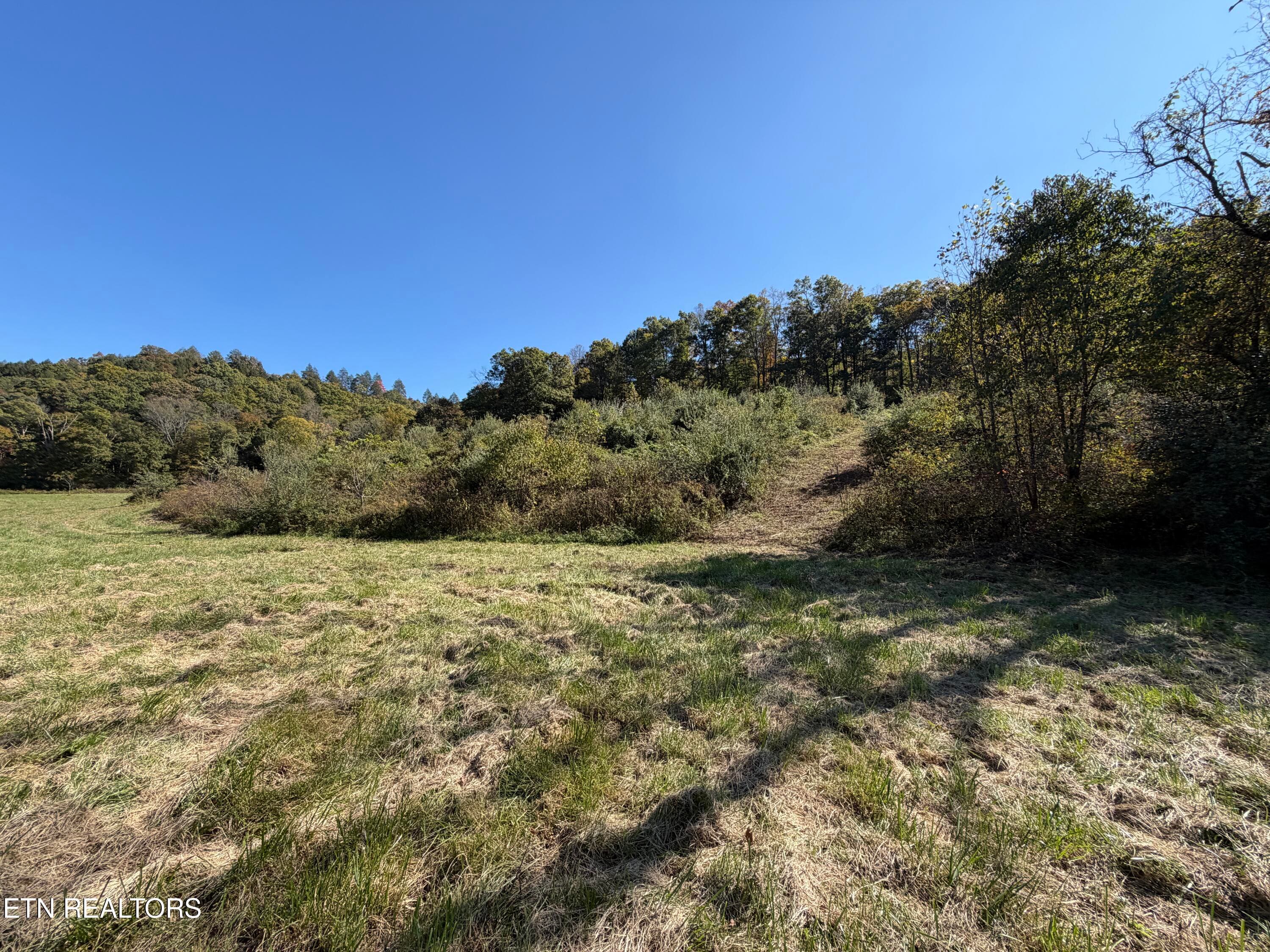96105C07-41E5-4FBE-9BF7-4350A4925B4D - 6797 Stinking Creek Rd, Pioneer, TN 37847