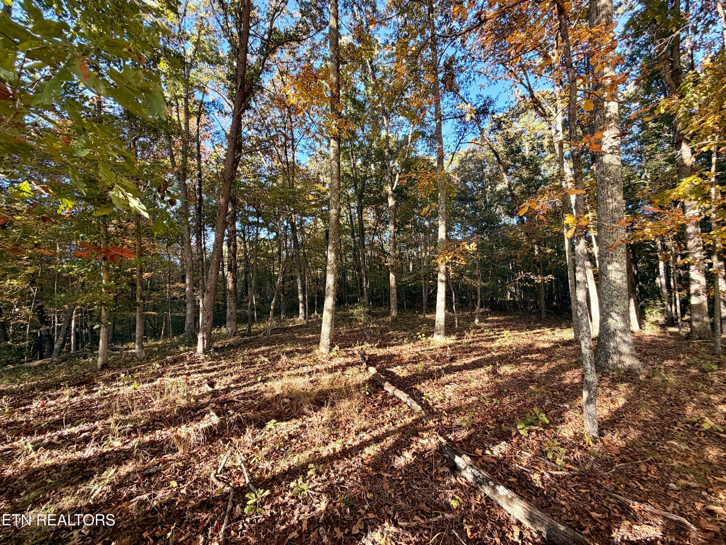 IMG_5962 - Poke Patch Rd, Crossville, TN 38572