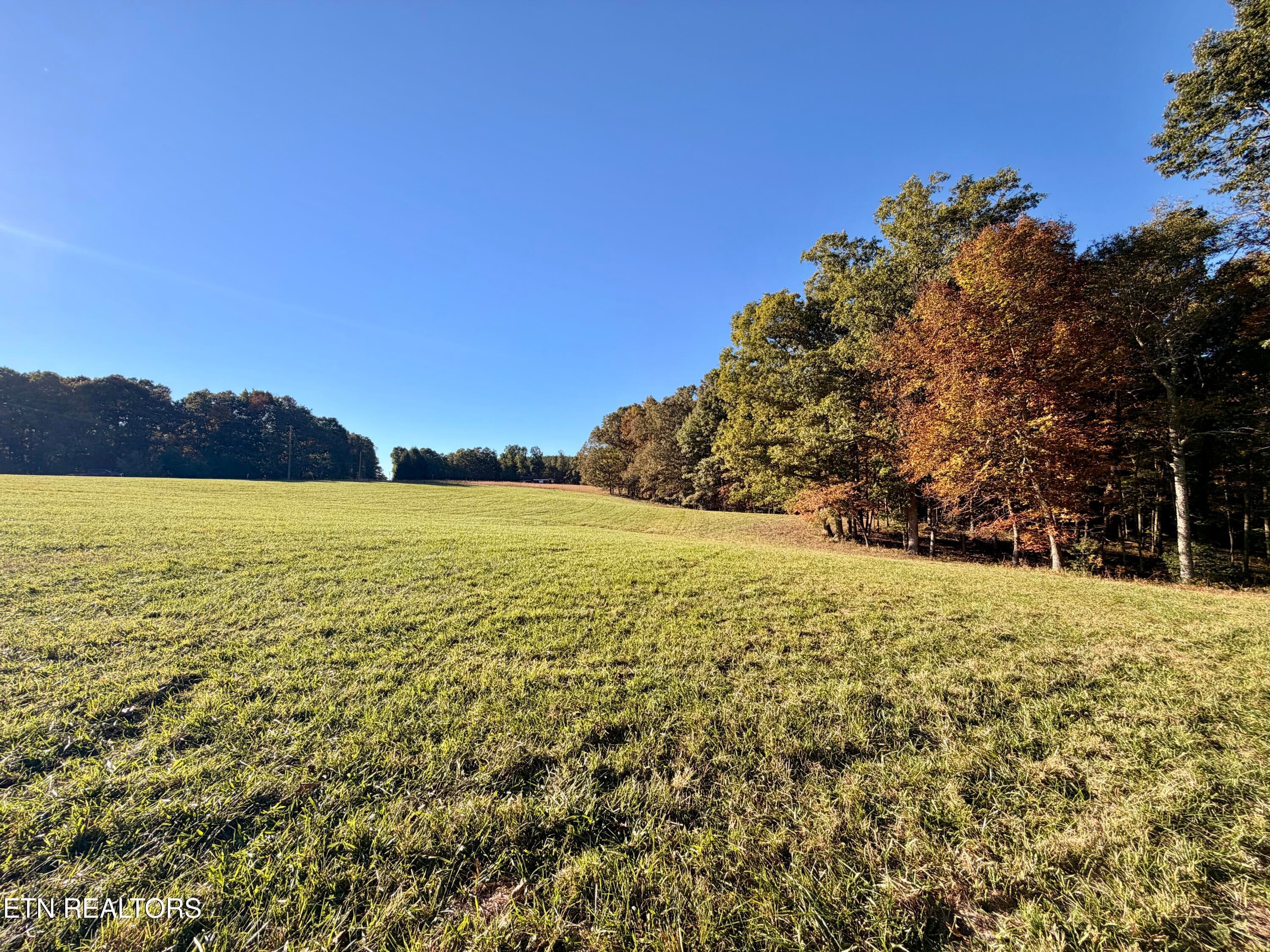 IMG_5965 - Poke Patch Rd, Crossville, TN 38572