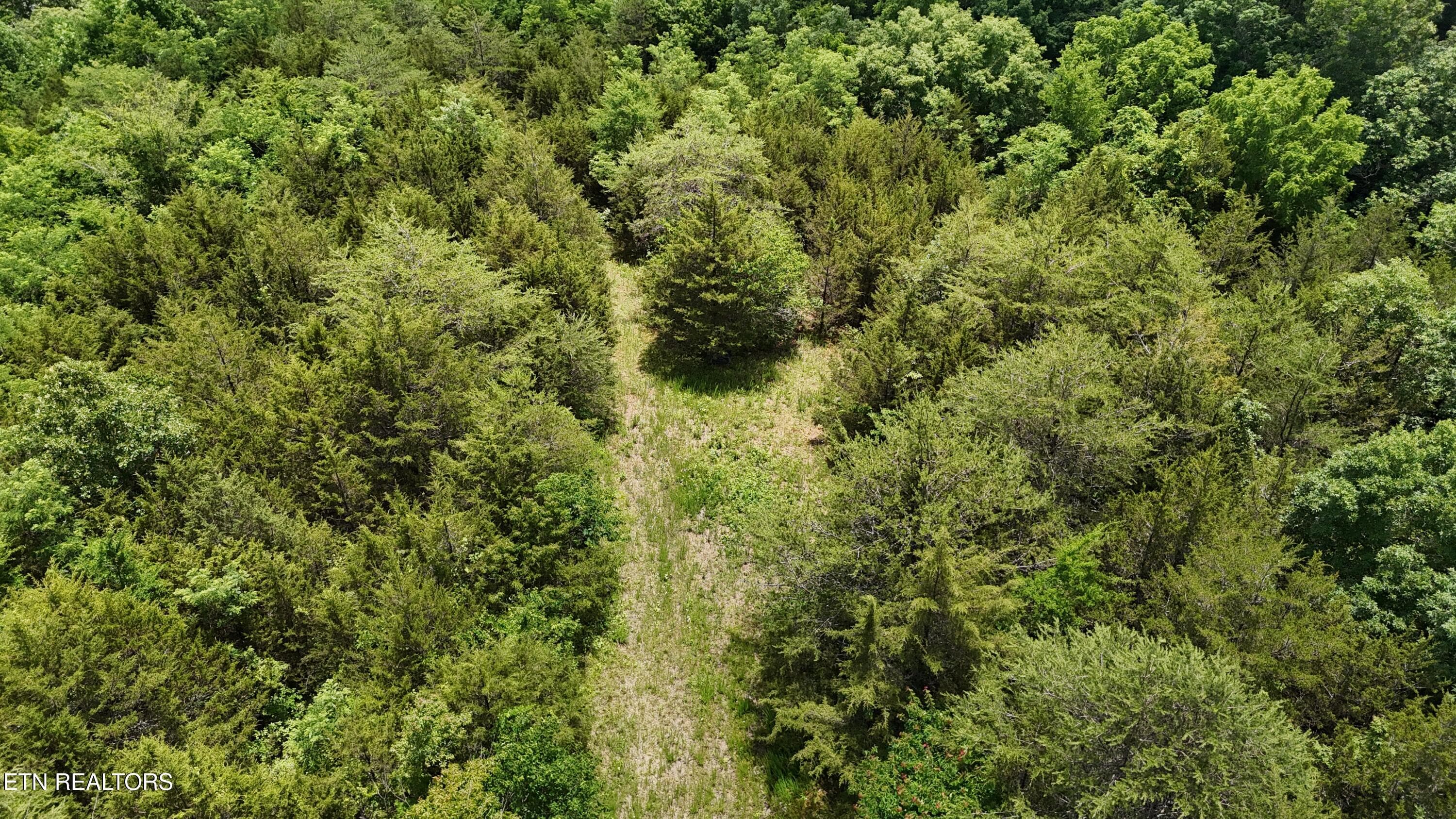 LEVEL BUILD SITES - 2201 Stepp Rd, Bybee, TN 37713
