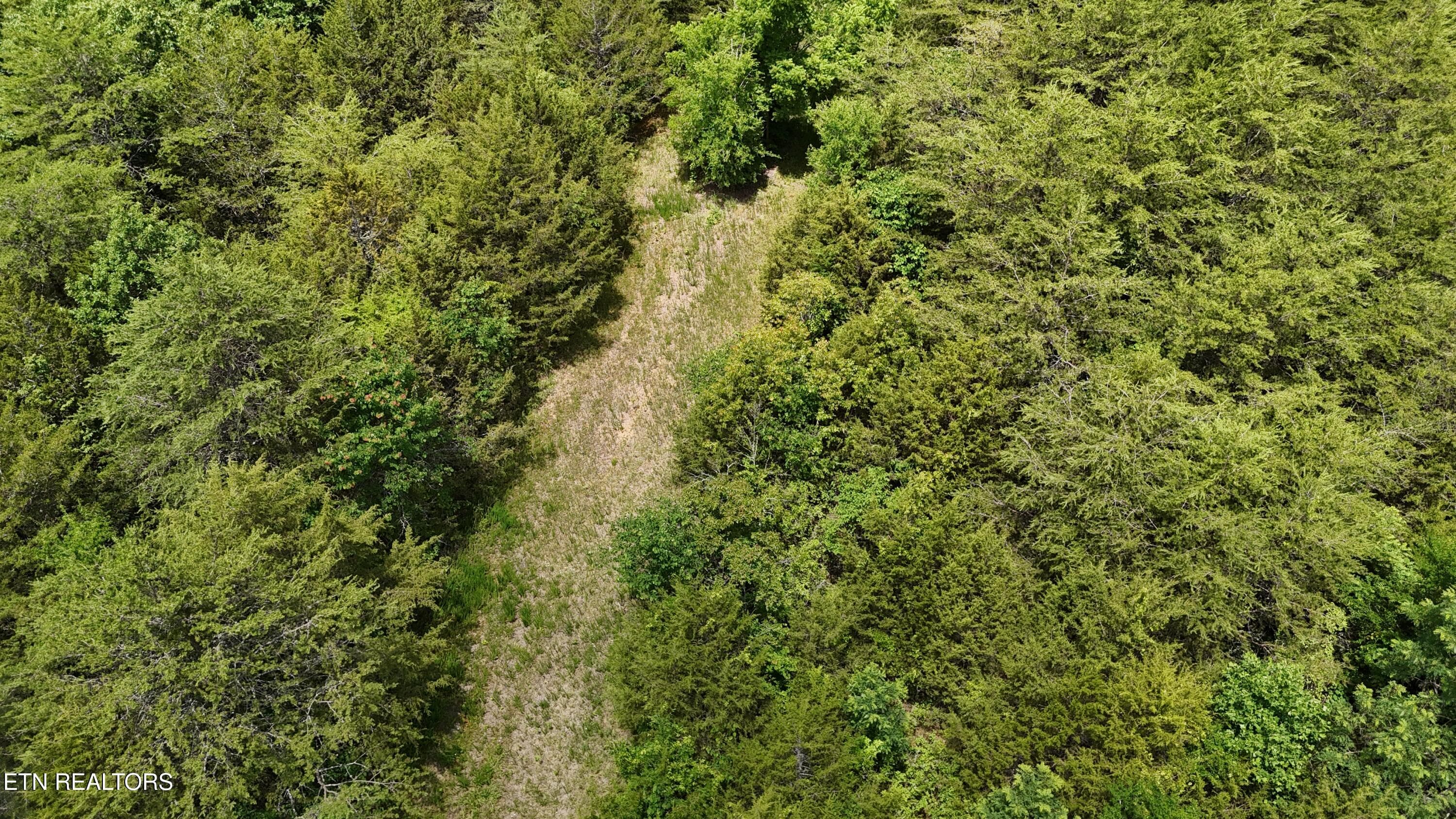 BUILD SITE - 2201 Stepp Rd, Bybee, TN 37713
