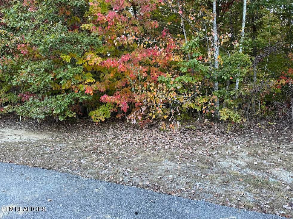 0 Laurens Lane, Grimsley, TN 38565