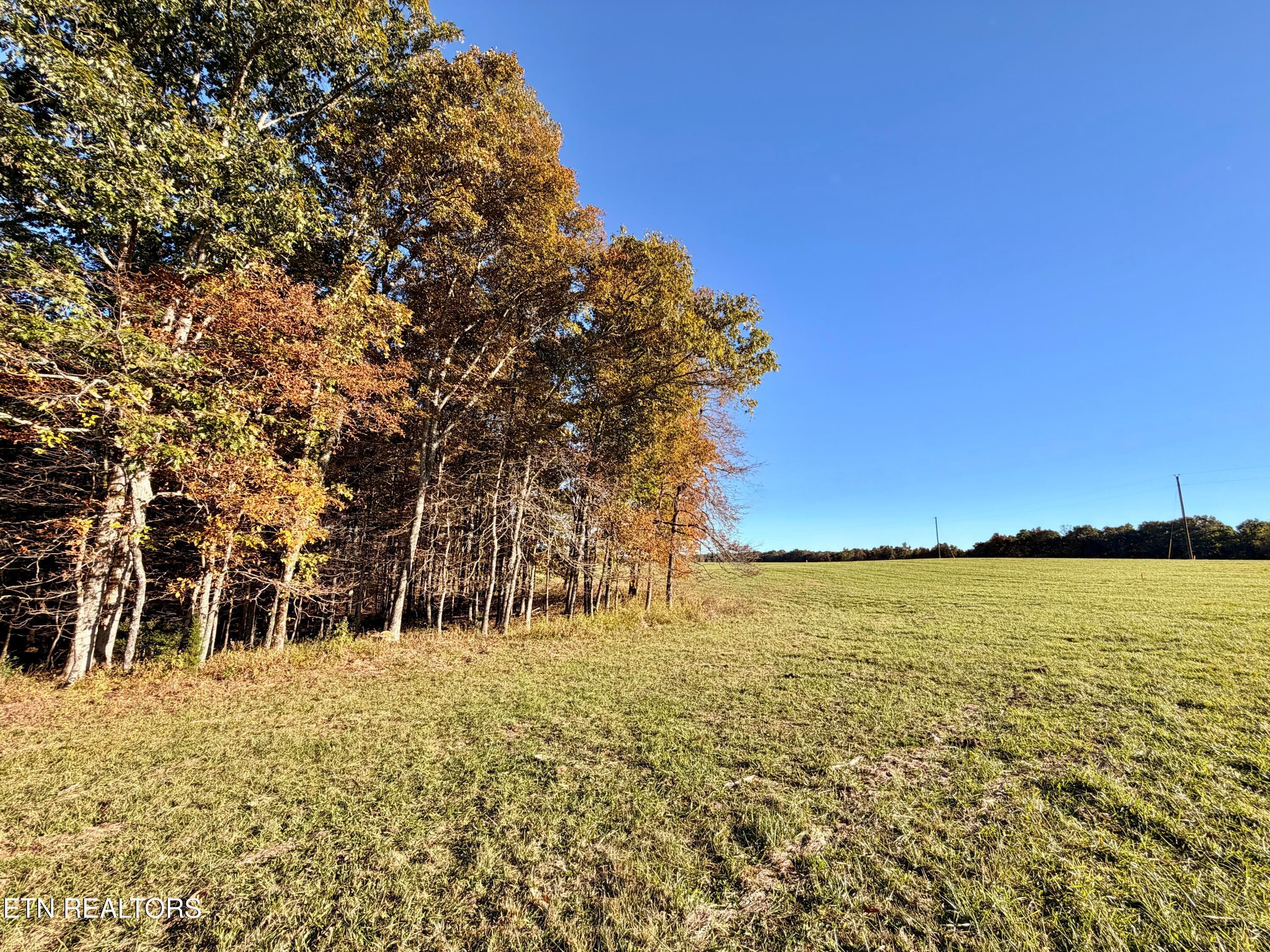 IMG_5968 - Poke Patch Rd, Crossville, TN 38572