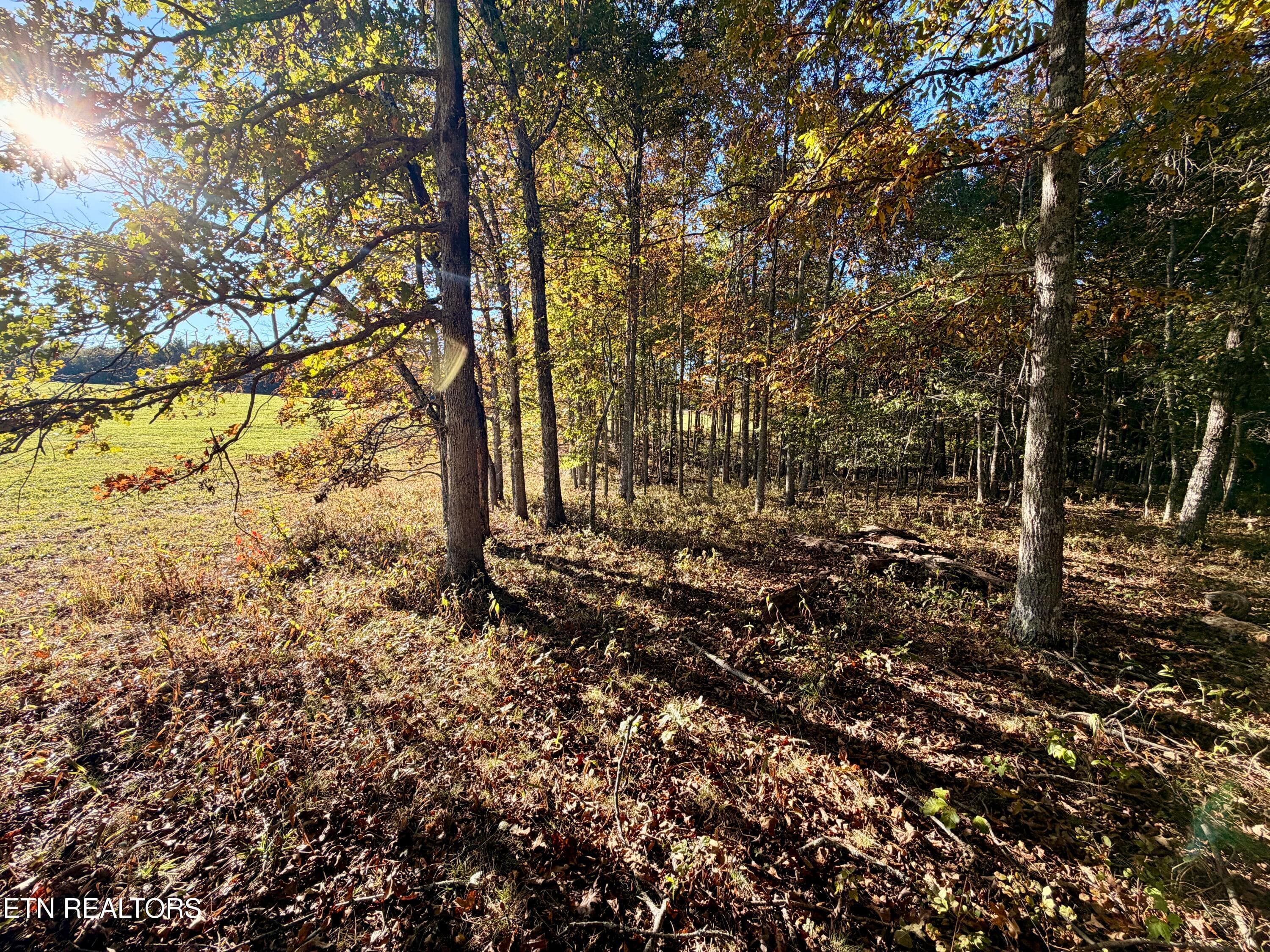 IMG_5975 - Poke Patch Rd, Crossville, TN 38572