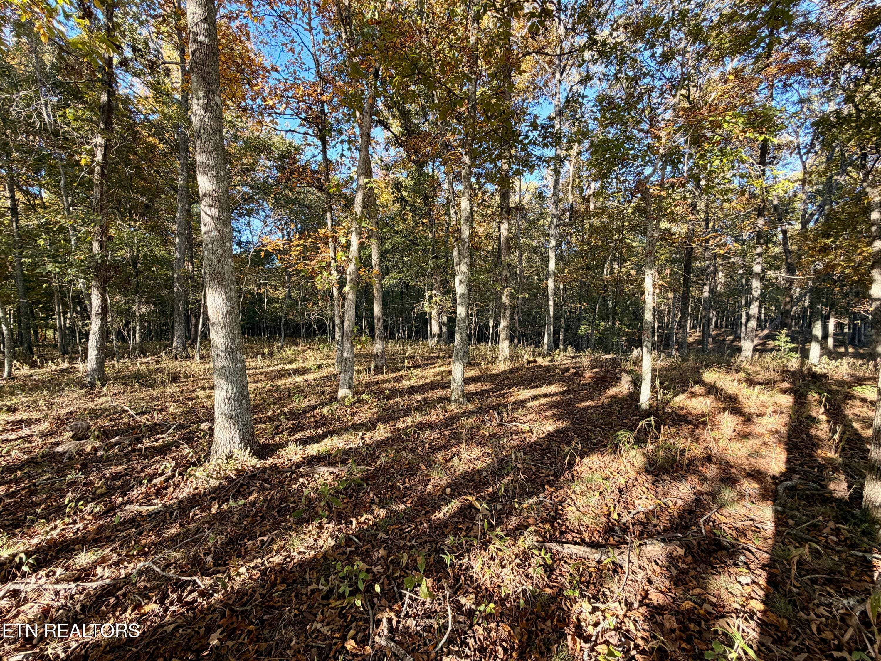 IMG_5976 - Poke Patch Rd, Crossville, TN 38572