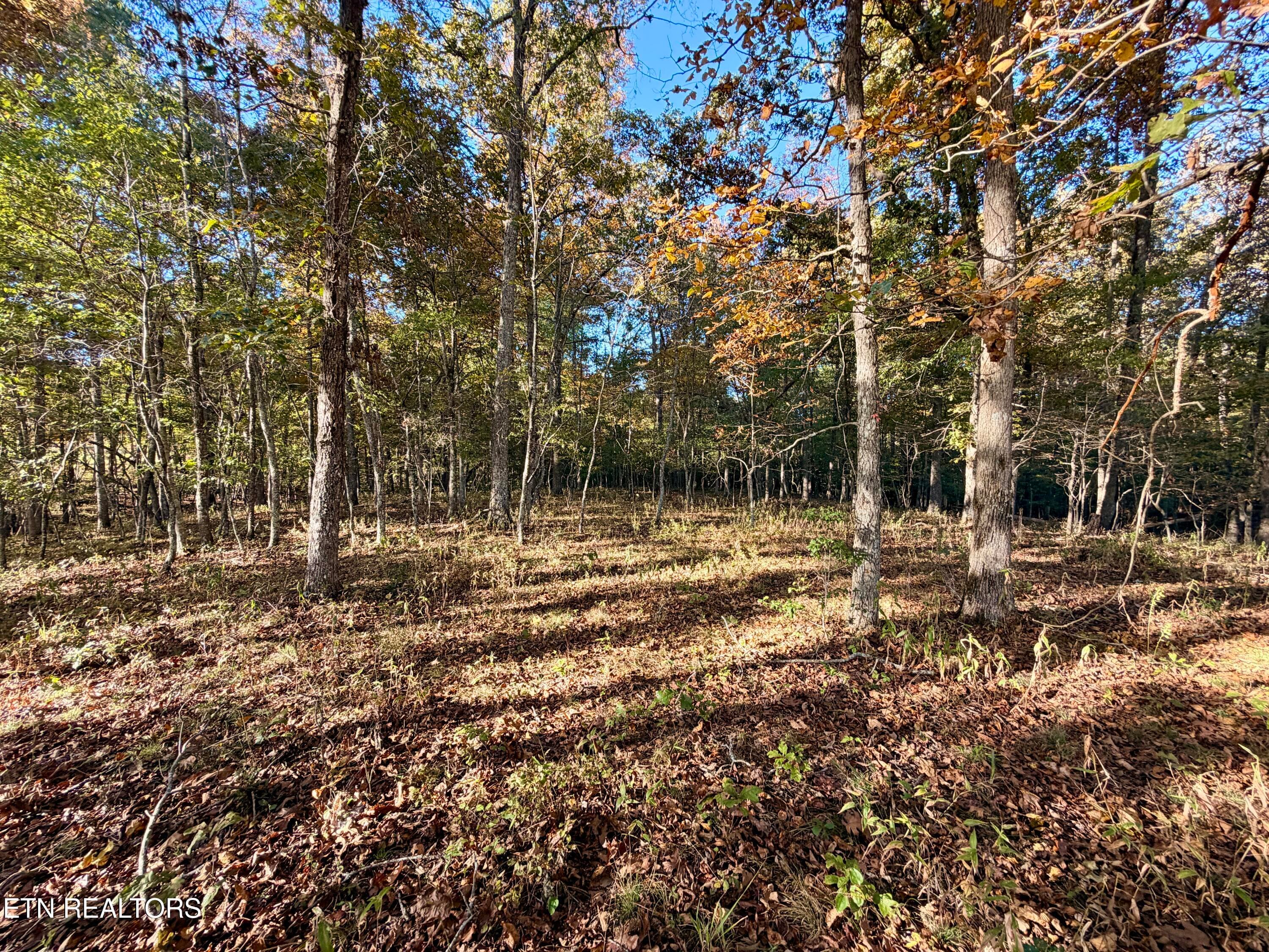 IMG_5977 - Poke Patch Rd, Crossville, TN 38572