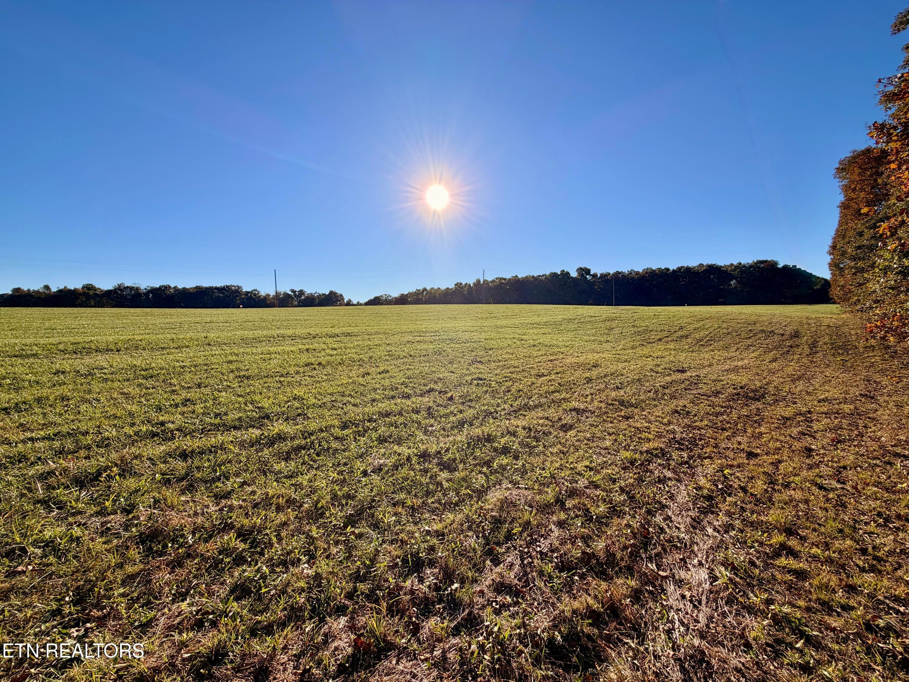 IMG_5978 - Poke Patch Rd, Crossville, TN 38572