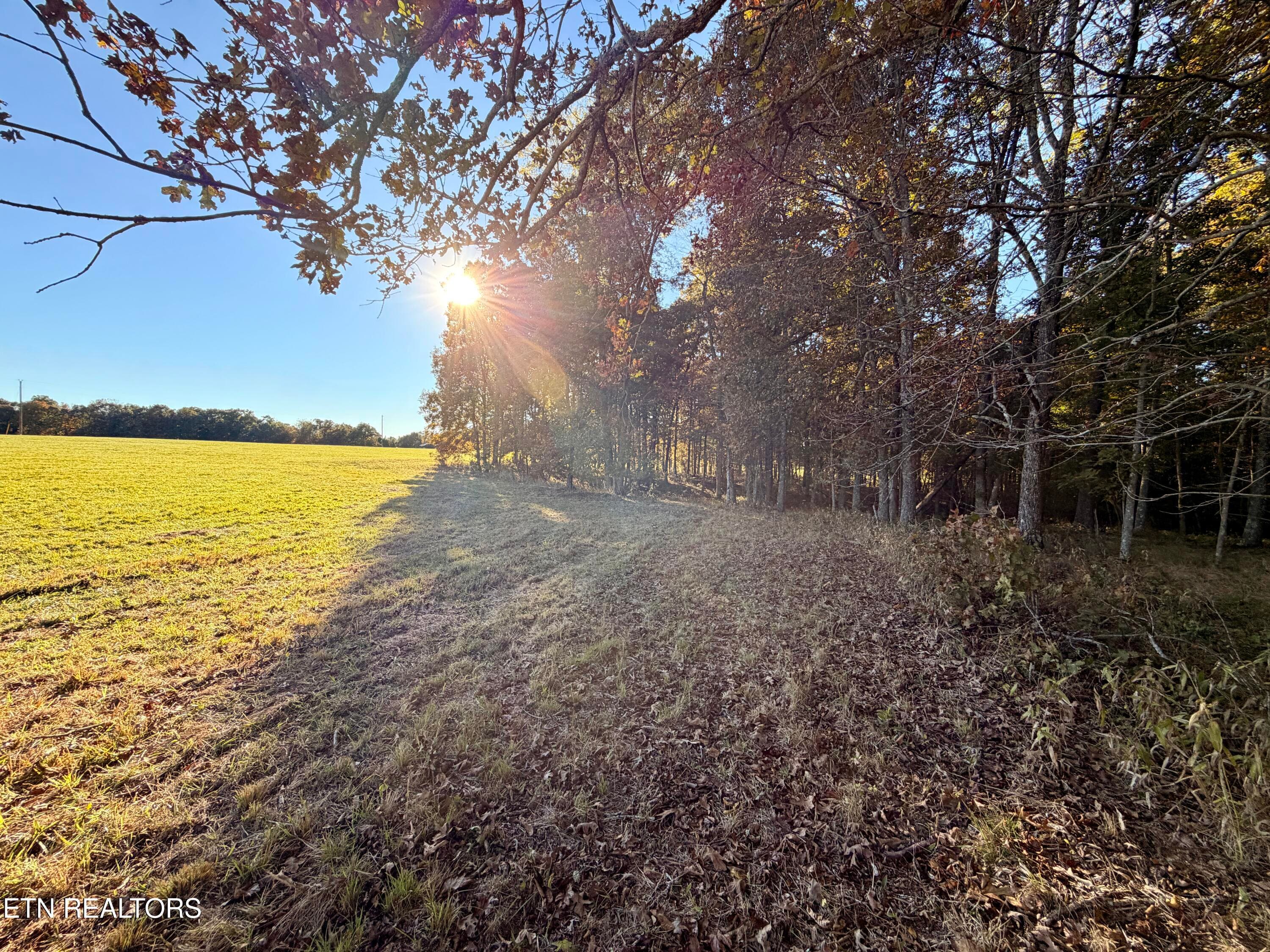 IMG_5985 - Poke Patch Rd, Crossville, TN 38572