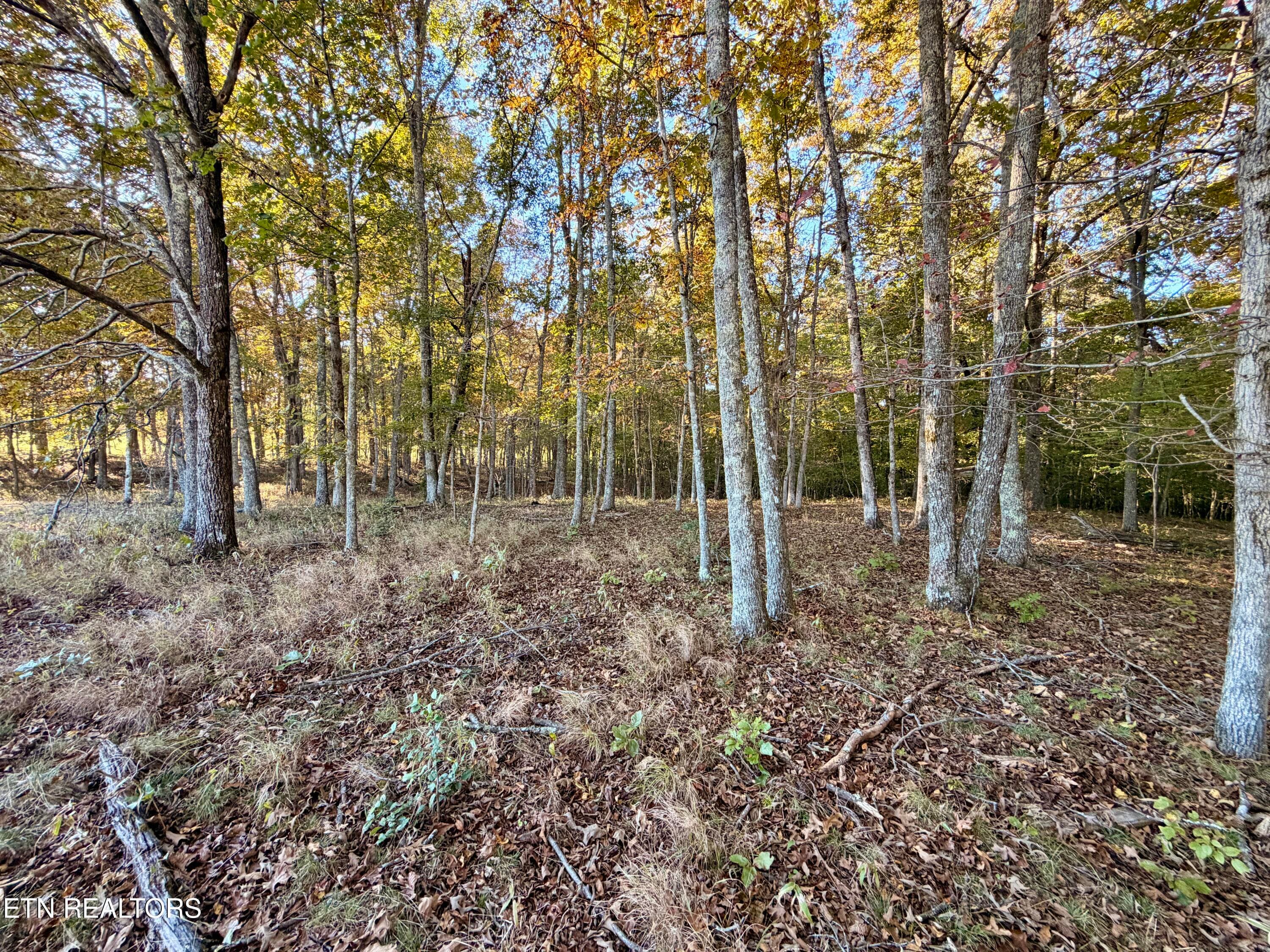 IMG_5986 - Poke Patch Rd, Crossville, TN 38572