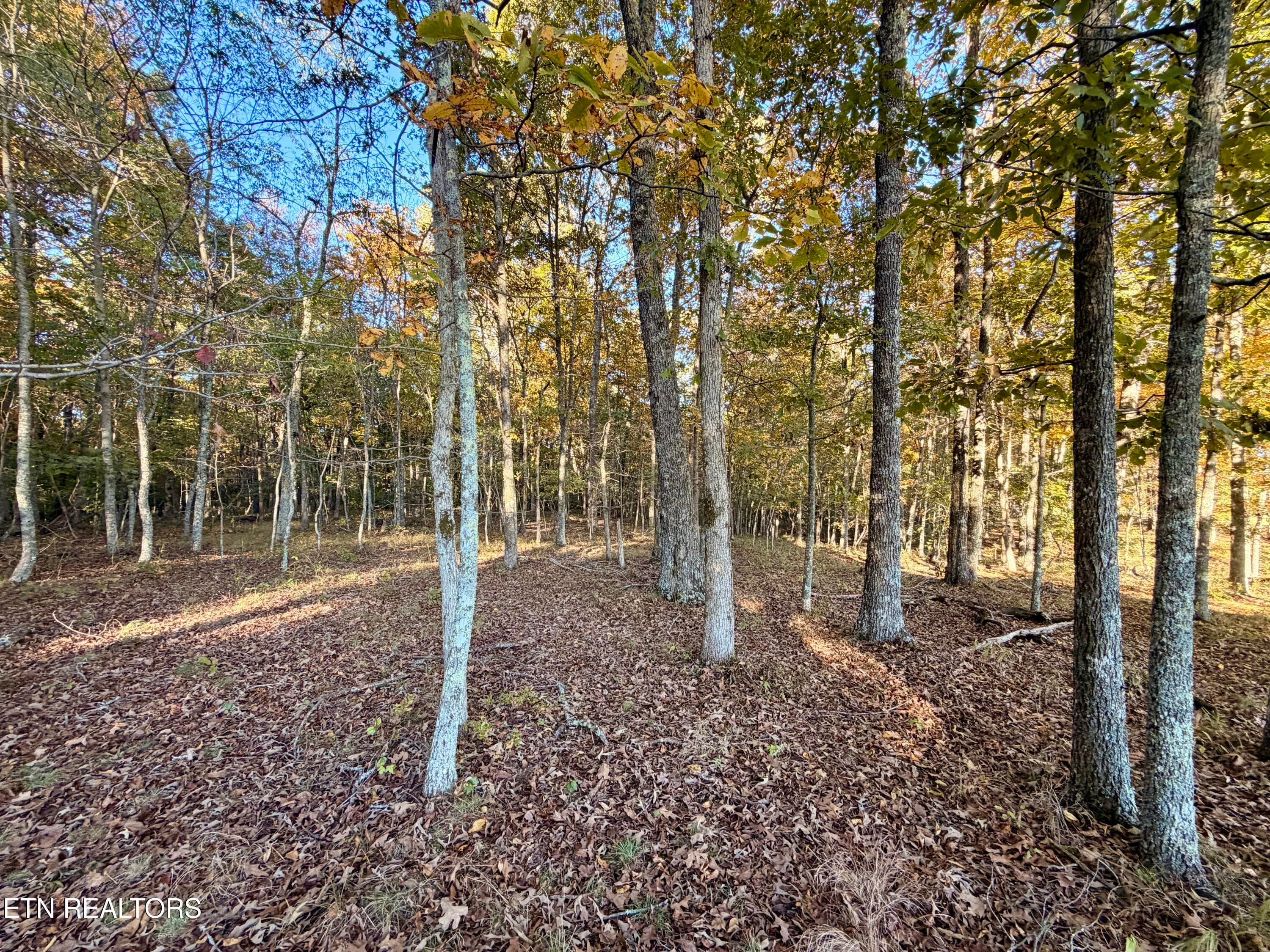 IMG_5988 - Poke Patch Rd, Crossville, TN 38572