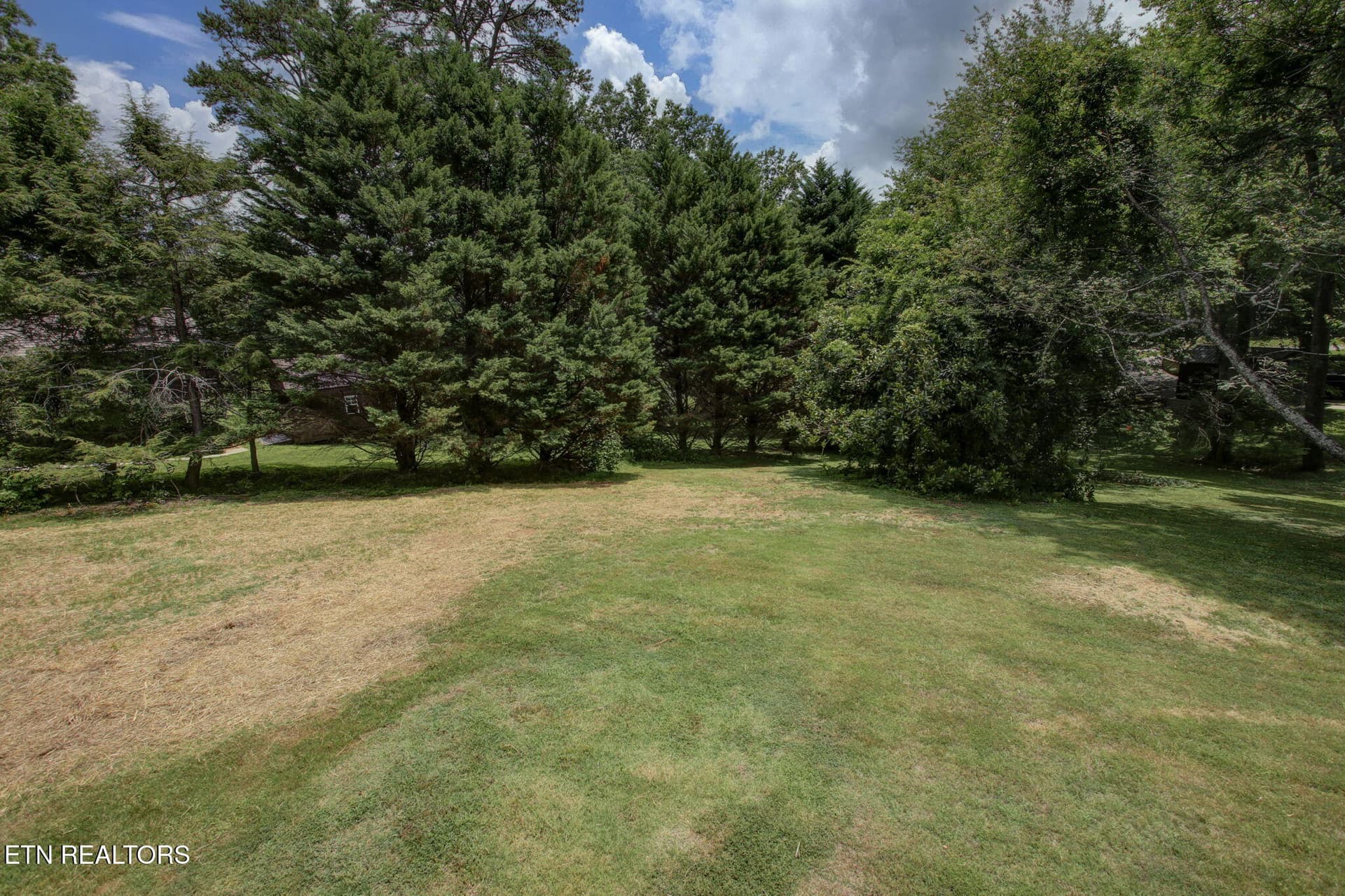 IMG_4989 - 5216 Hickory Hollow Rd 1, Knoxville, TN 37919