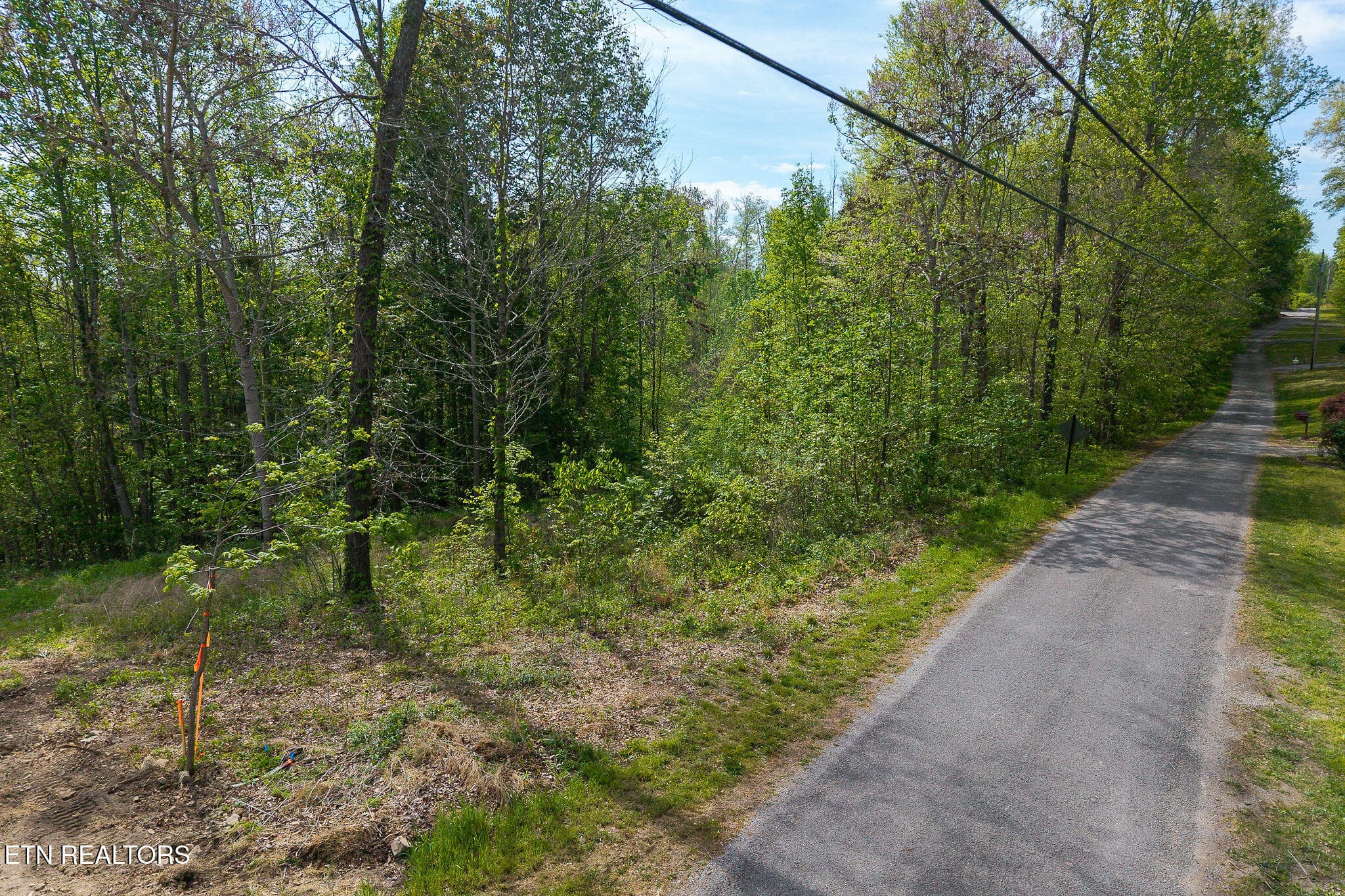 Lot 75 Backbone Rd, Sparta, TN 38583