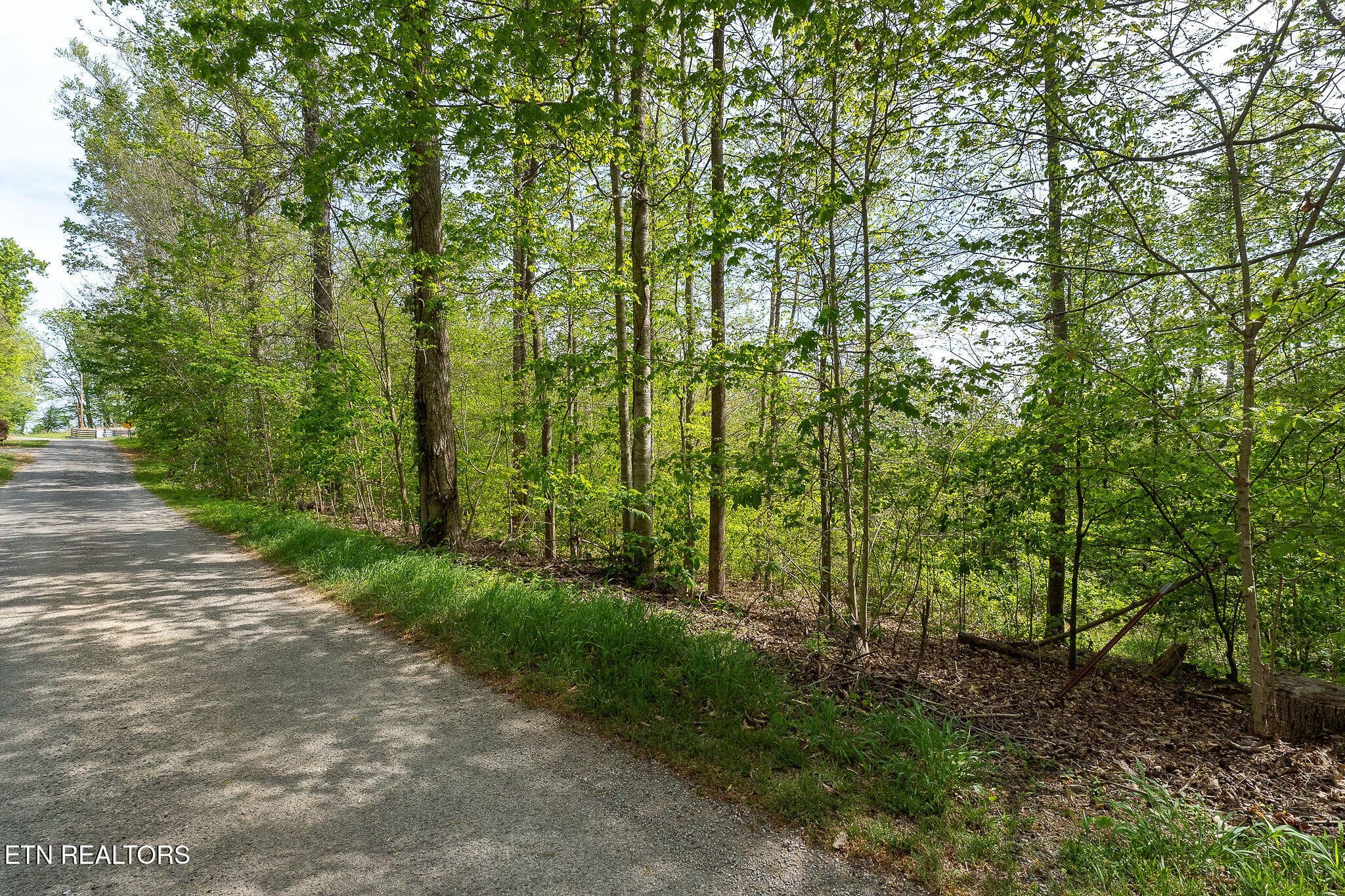DSC07113 - Lot 75 Backbone Rd, Sparta, TN 38583