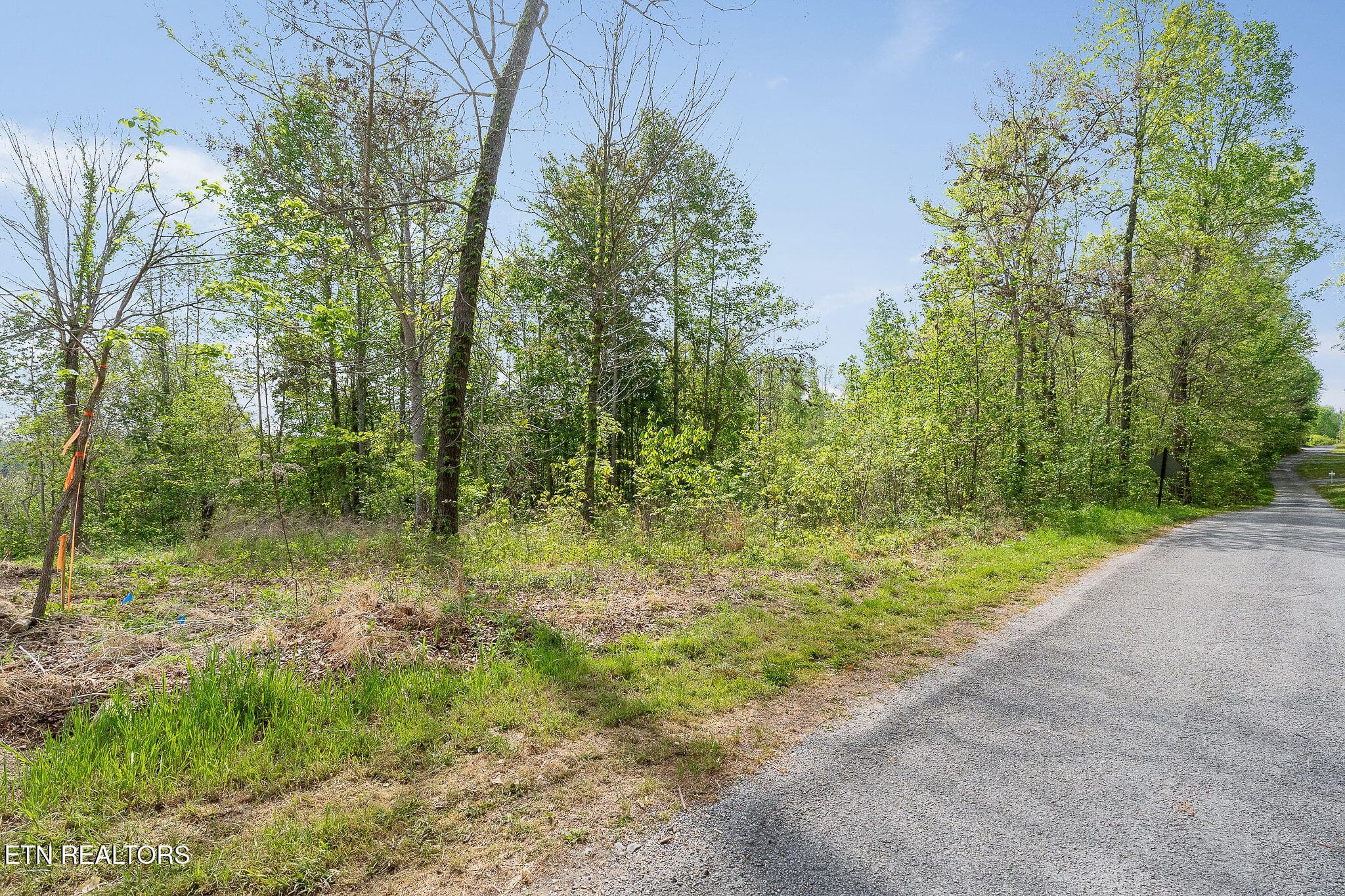 DSC07116 - Lot 75 Backbone Rd, Sparta, TN 38583