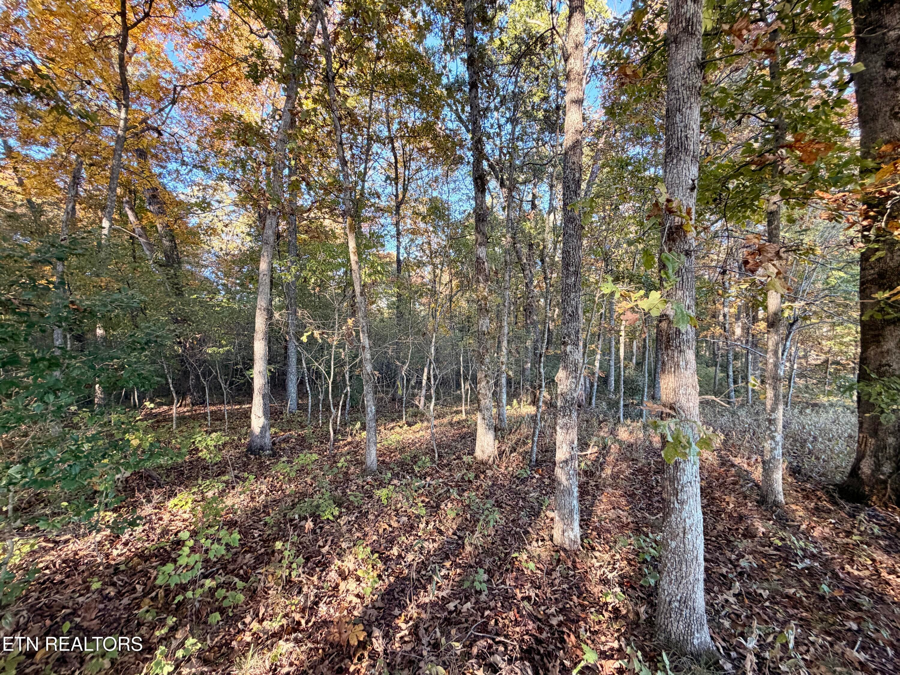 IMG_5995 - Poke Patch Rd, Crossville, TN 38572