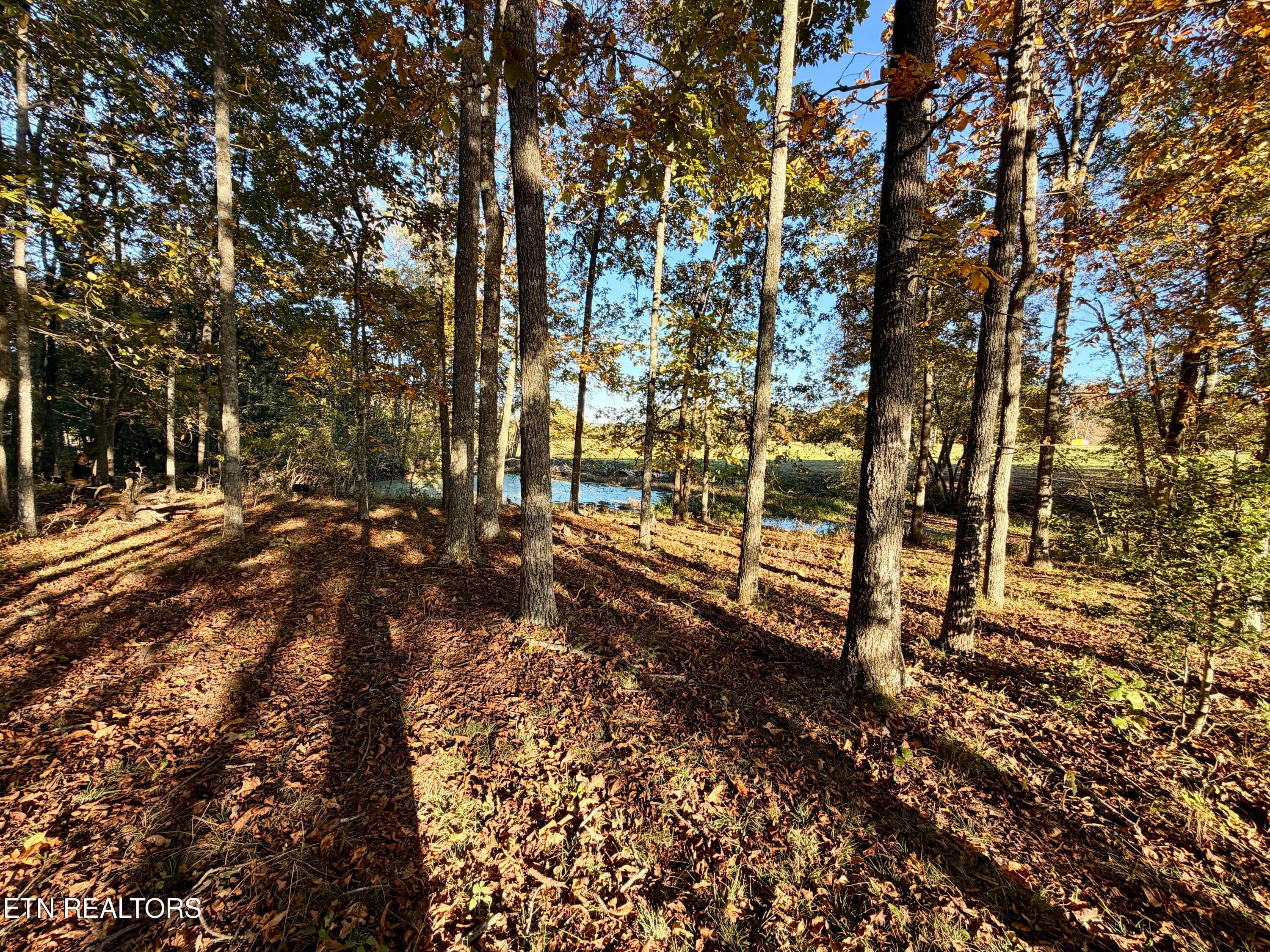 9 - Poke Patch Rd, Crossville, TN 38572