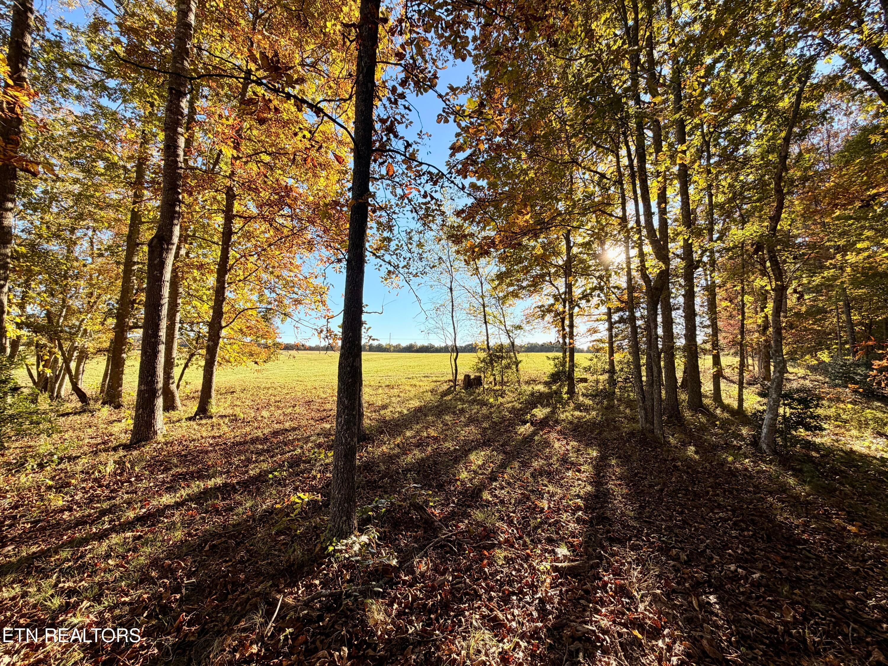 13 - Poke Patch Rd, Crossville, TN 38572