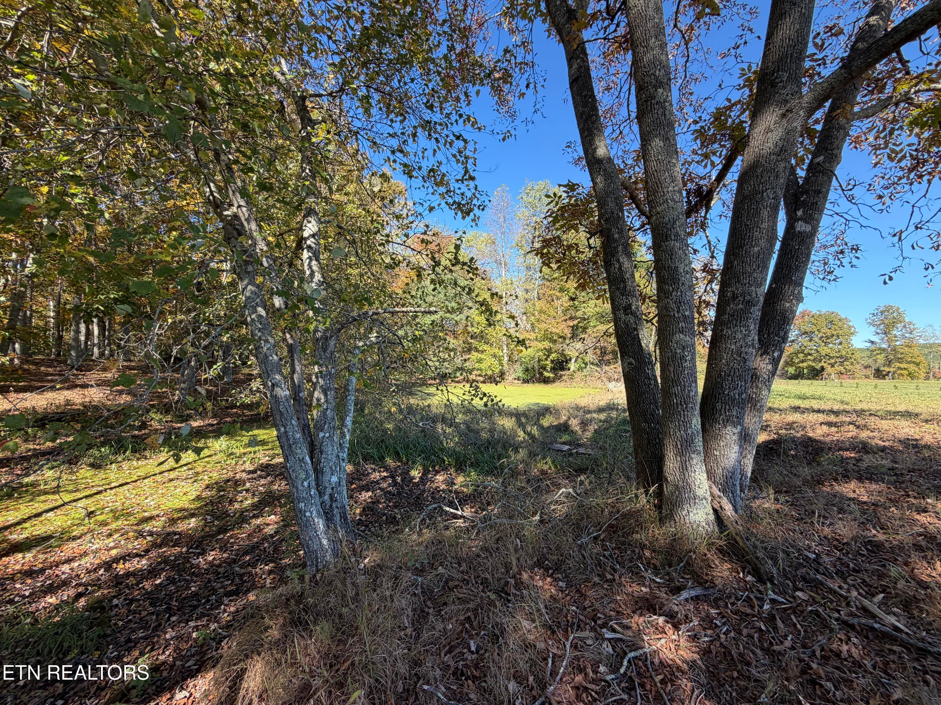IMG_3416 - Poke Patch Rd, Crossville, TN 38572