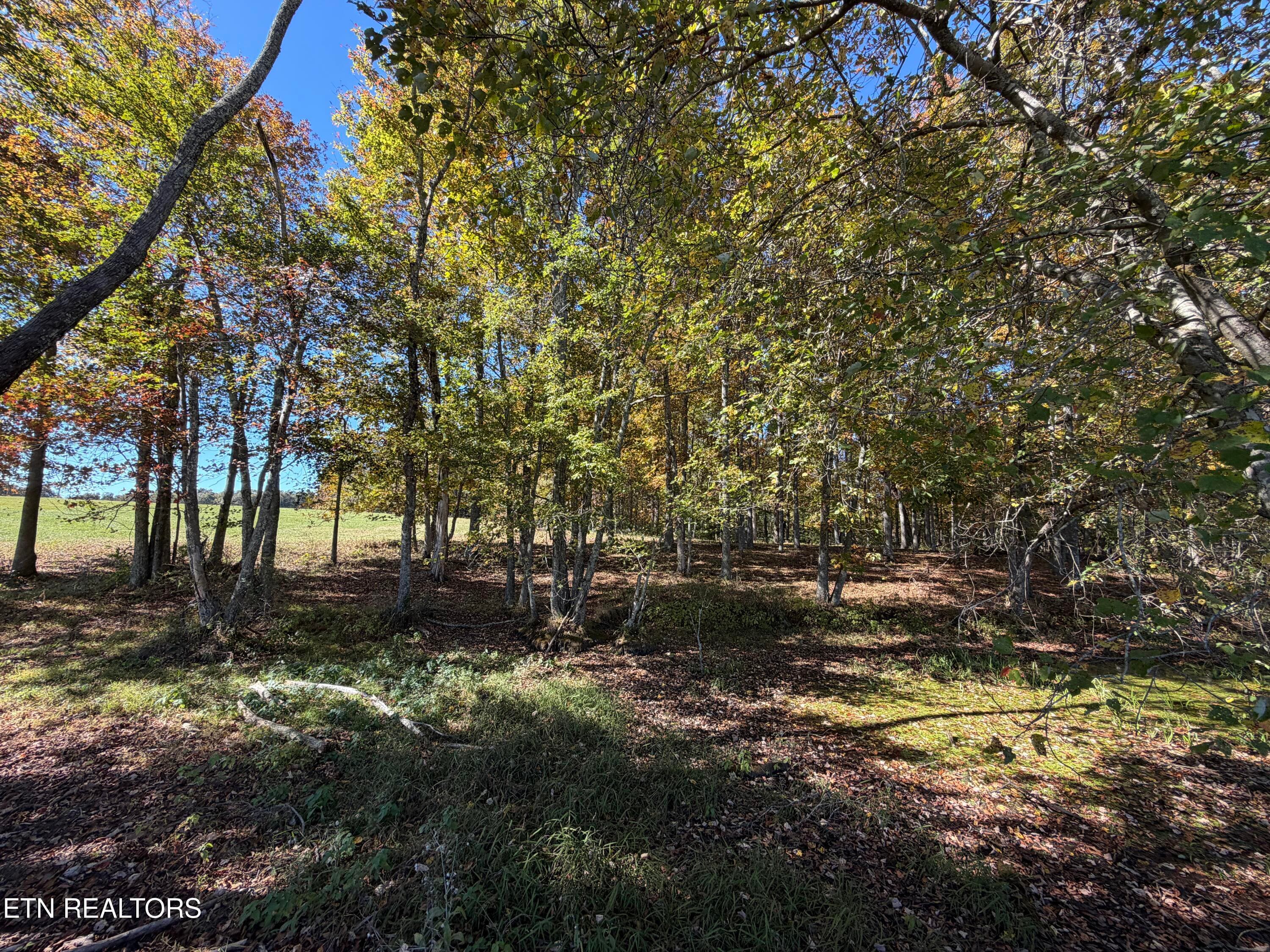 IMG_3417 - Poke Patch Rd, Crossville, TN 38572