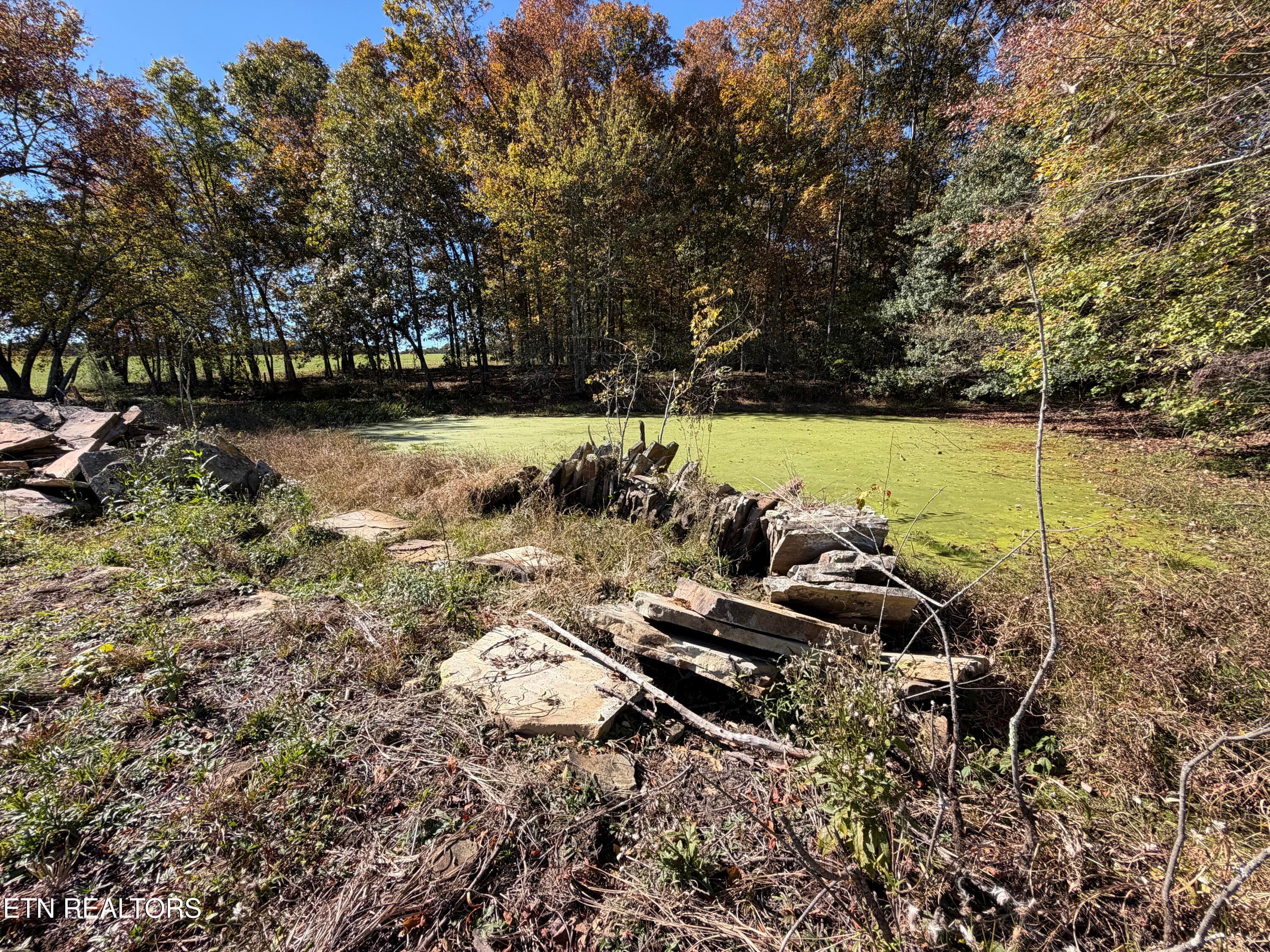 IMG_3419 - Poke Patch Rd, Crossville, TN 38572
