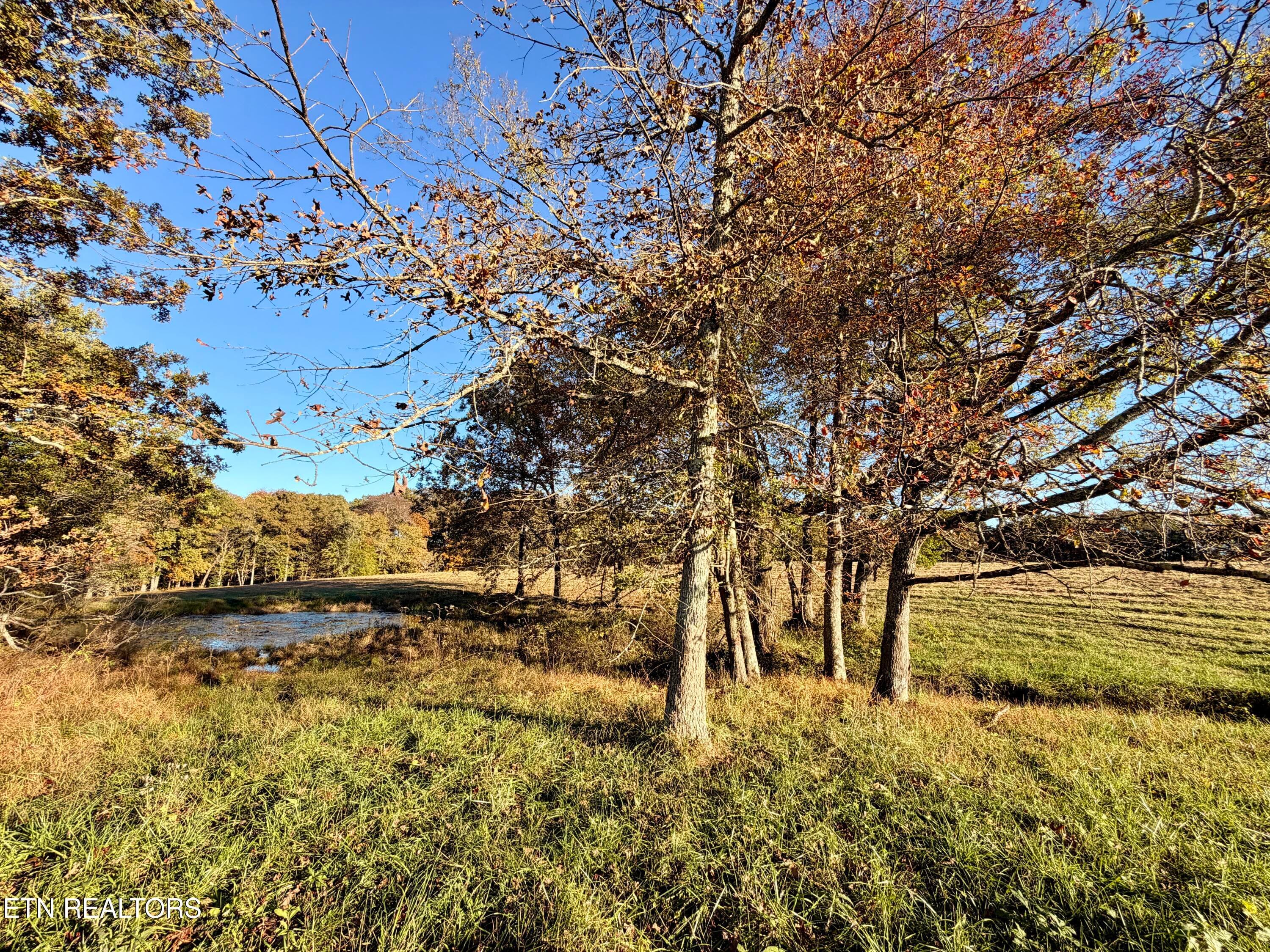 17 - Poke Patch Rd, Crossville, TN 38572