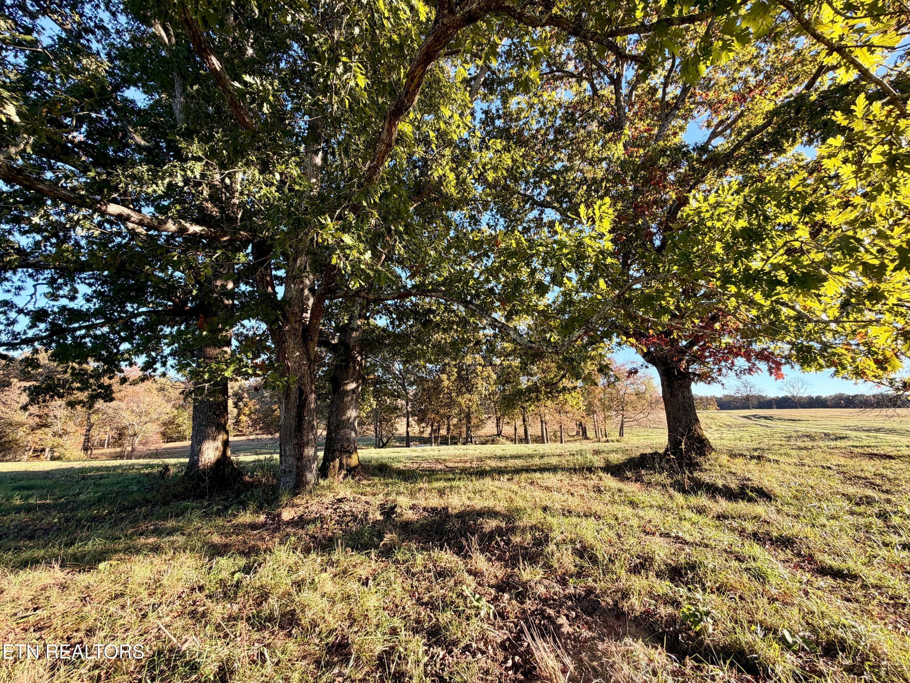 19 - Poke Patch Rd, Crossville, TN 38572