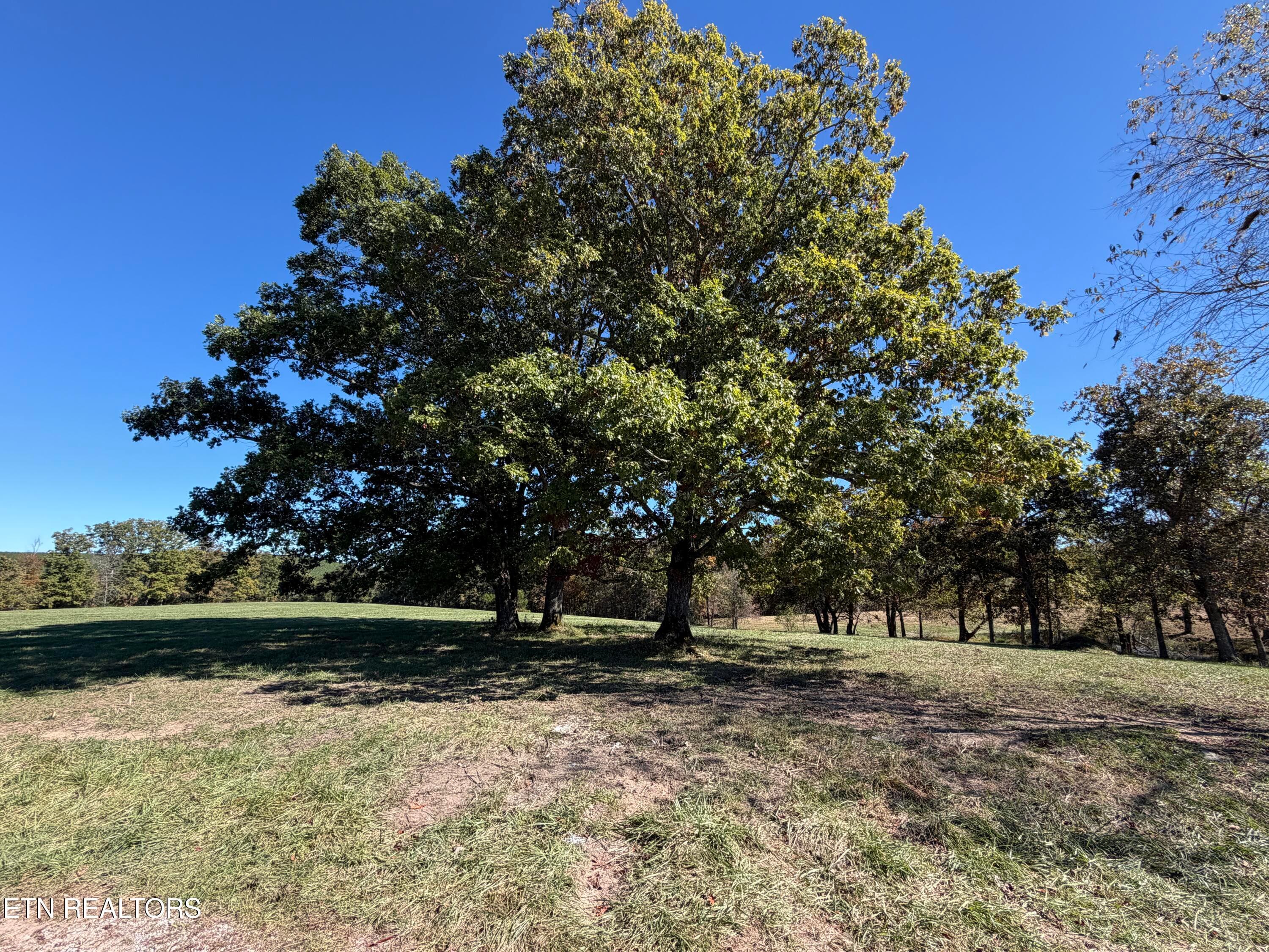 IMG_3406 - Poke Patch Rd, Crossville, TN 38572