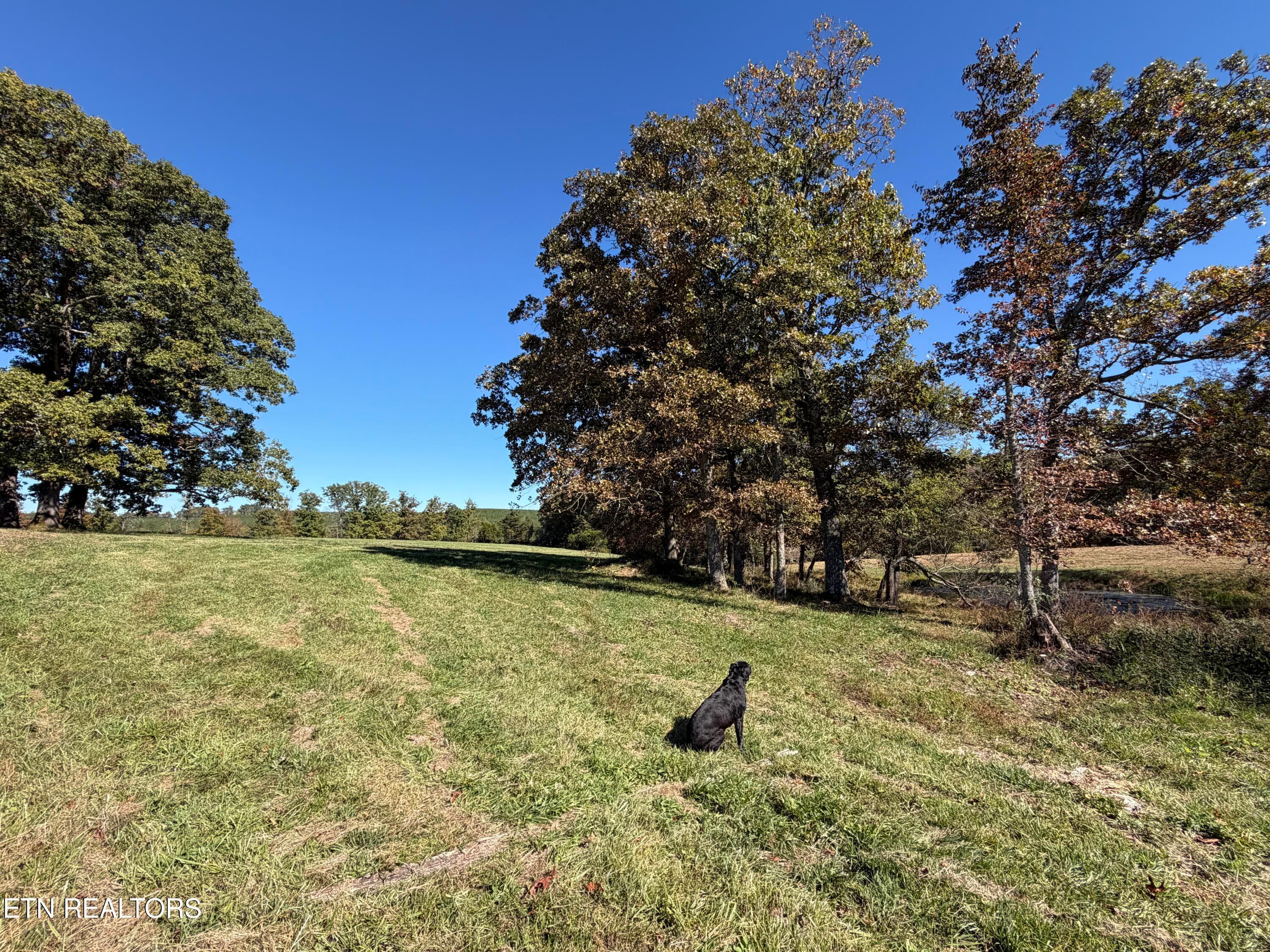 IMG_3407 - Poke Patch Rd, Crossville, TN 38572