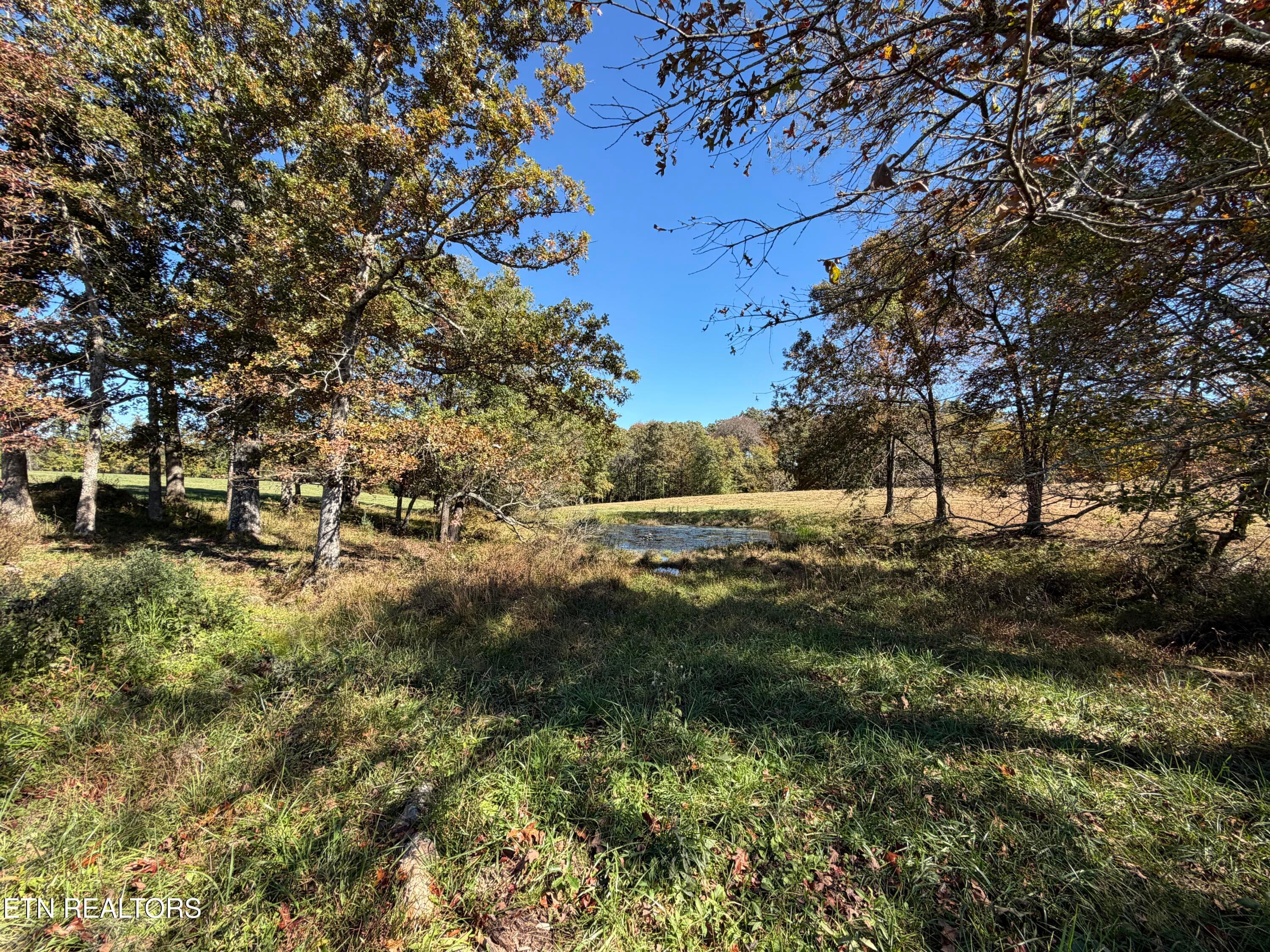 IMG_3408 - Poke Patch Rd, Crossville, TN 38572
