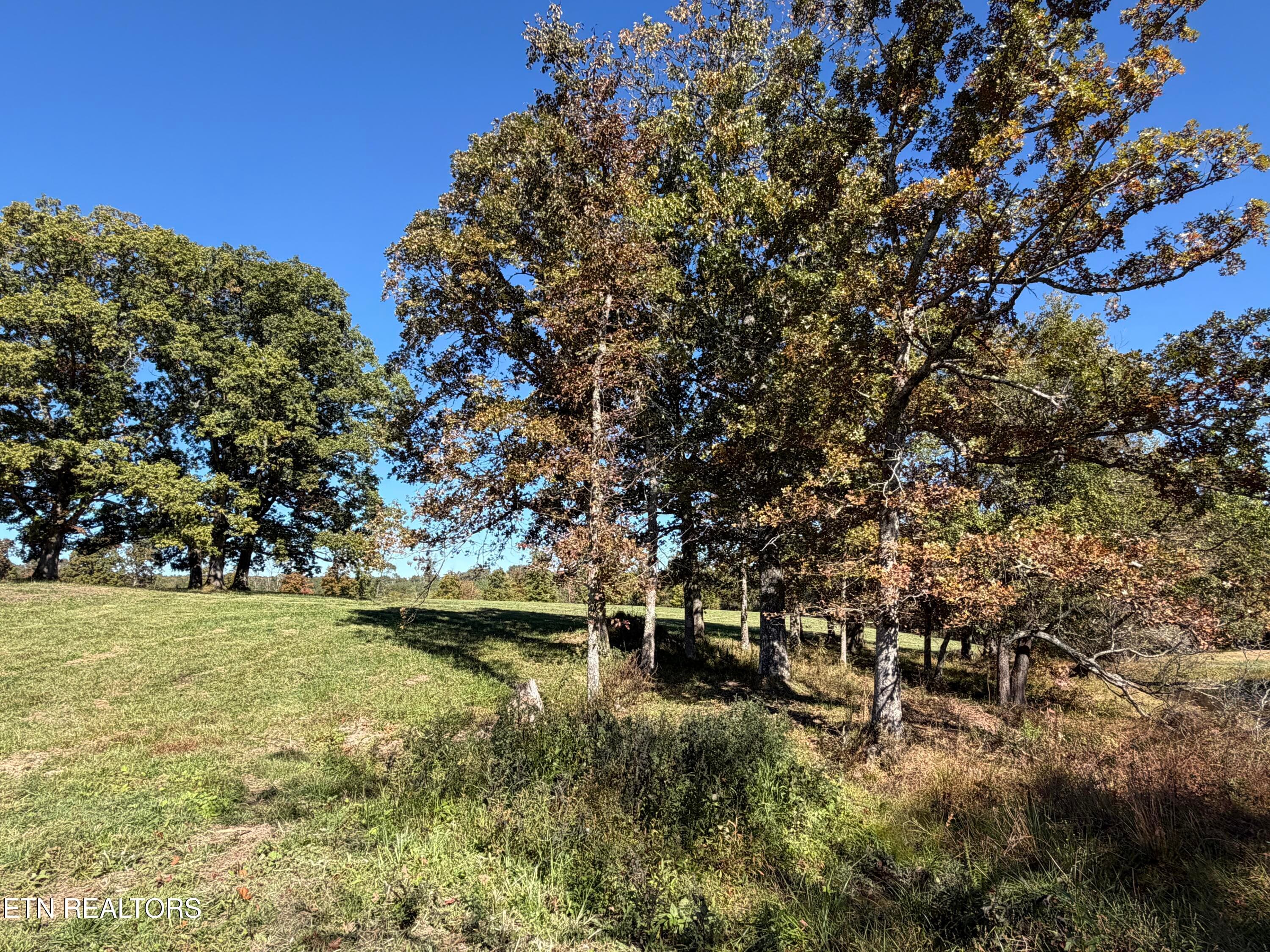 IMG_3409 - Poke Patch Rd, Crossville, TN 38572