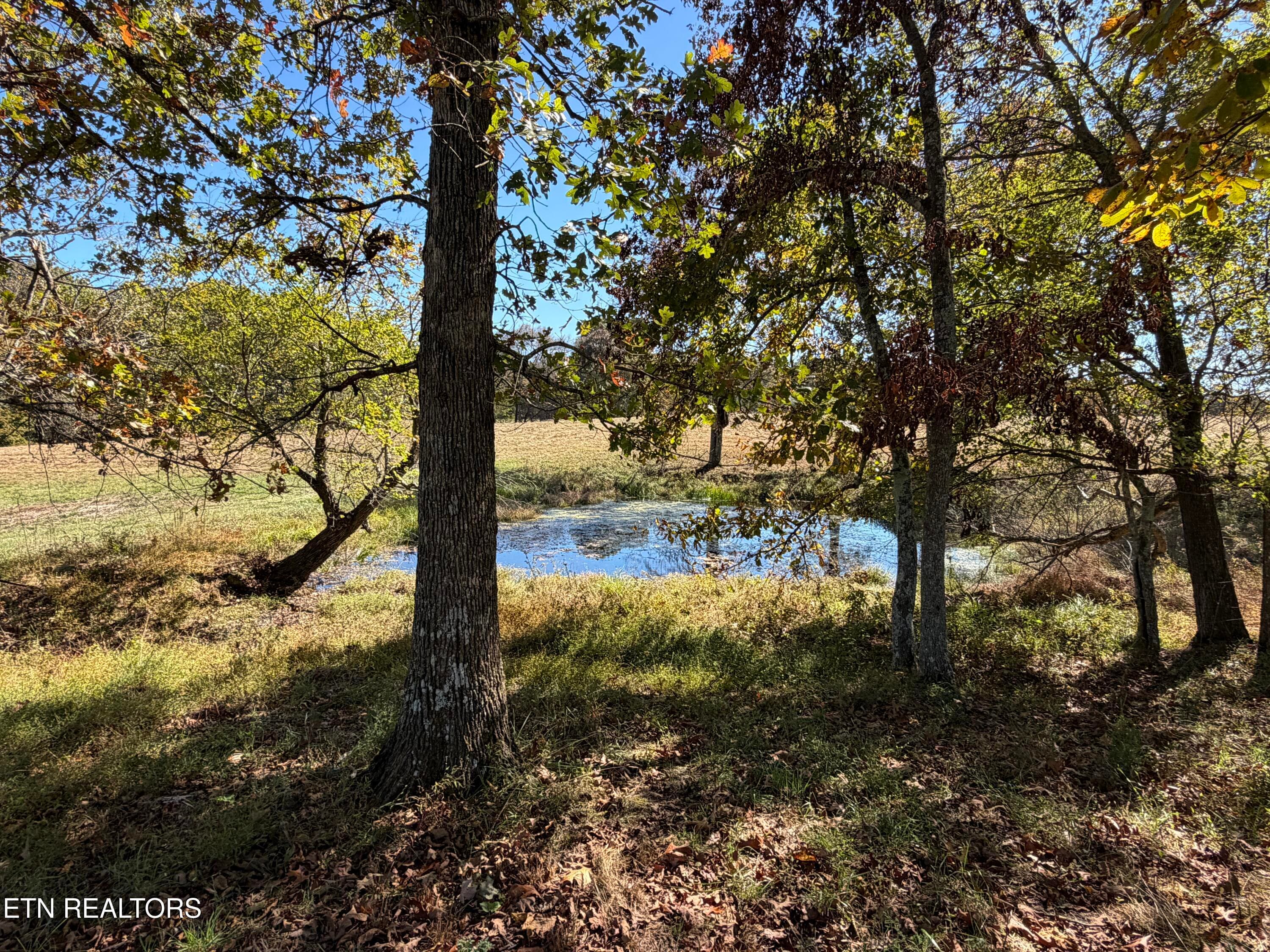 IMG_3410 - Poke Patch Rd, Crossville, TN 38572