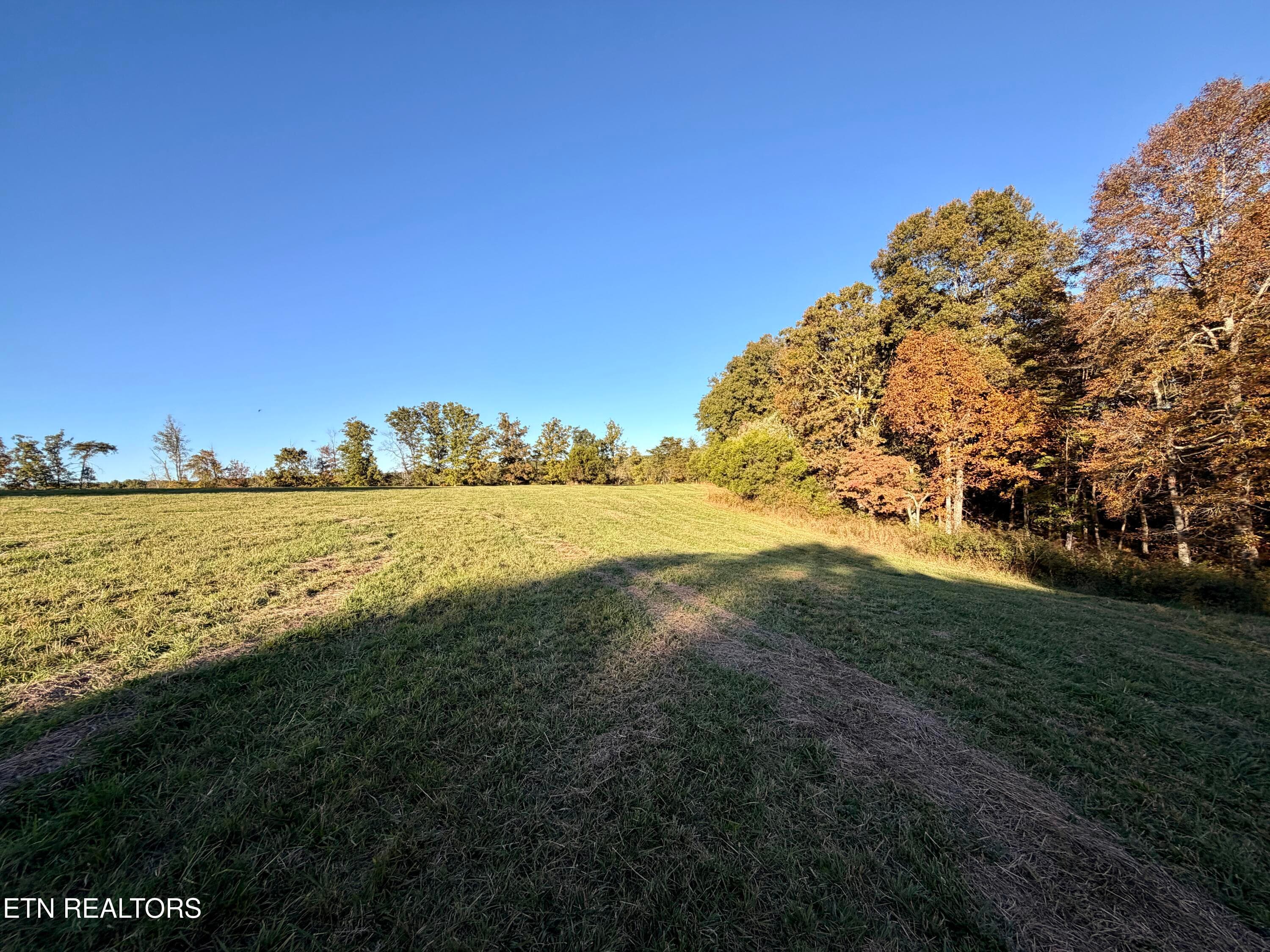 IMG_6024 - Poke Patch Rd, Crossville, TN 38572