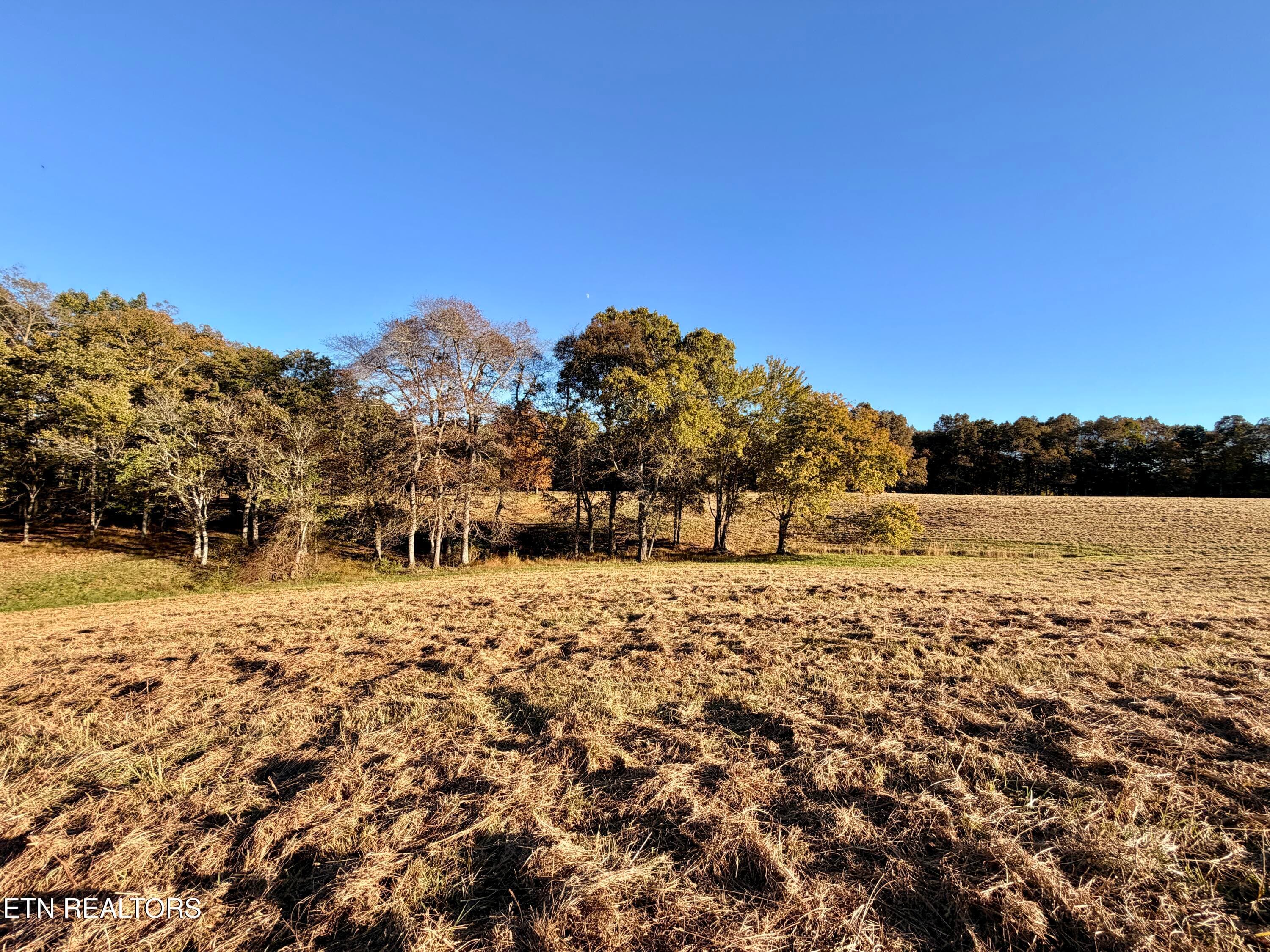 8 - Poke Patch Rd, Crossville, TN 38572