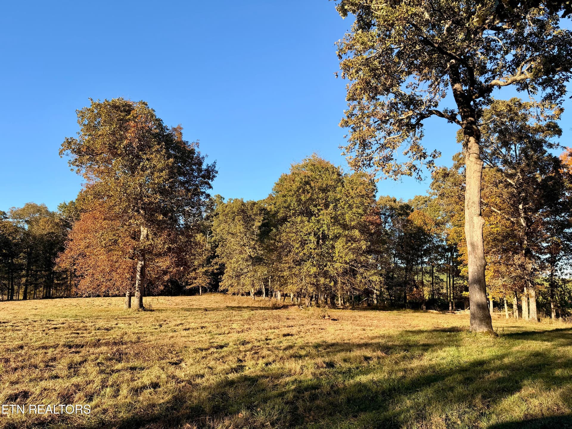 Poke Patch Rd, Crossville, TN 38572
