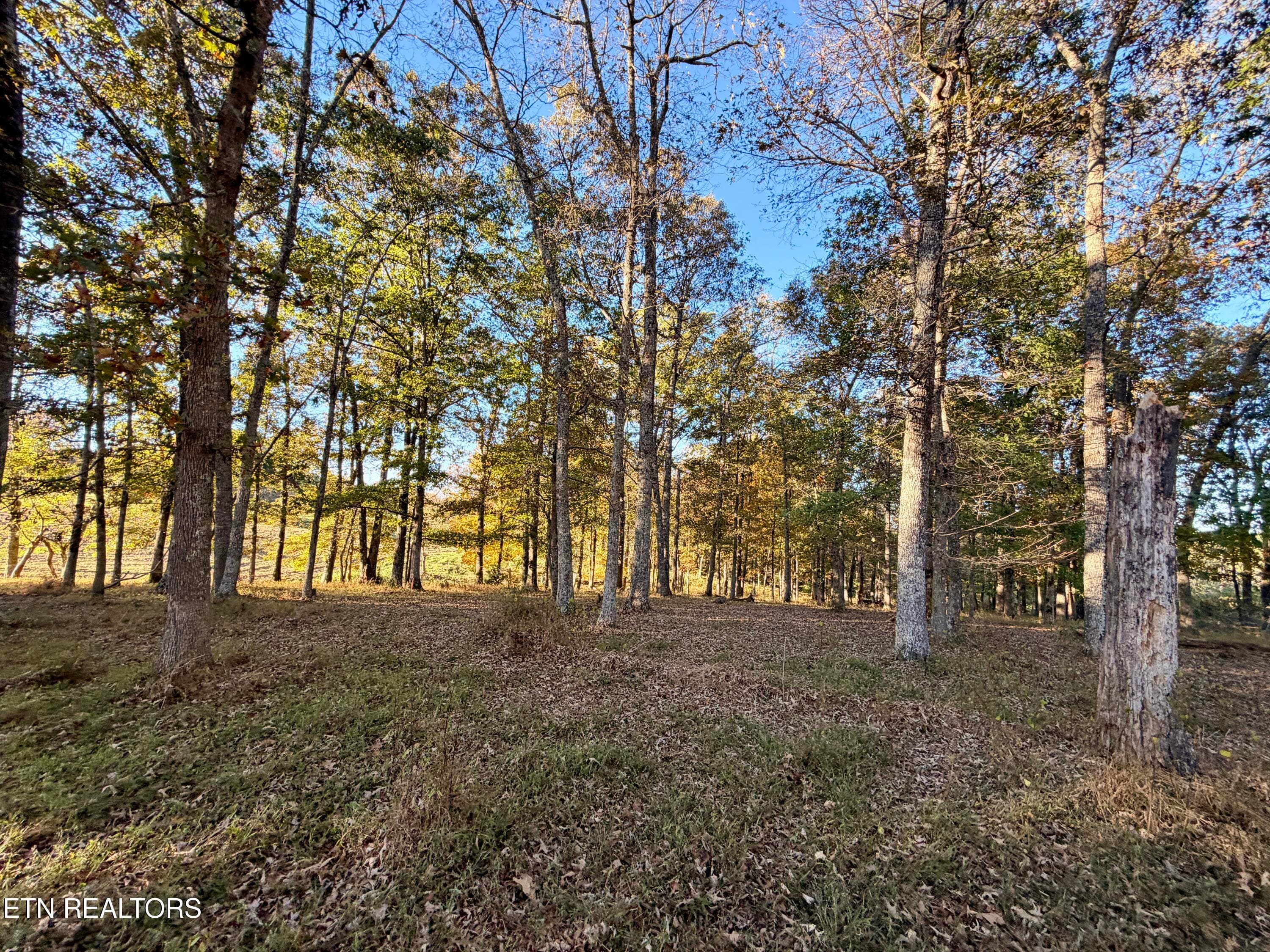 14 - Poke Patch Rd, Crossville, TN 38572