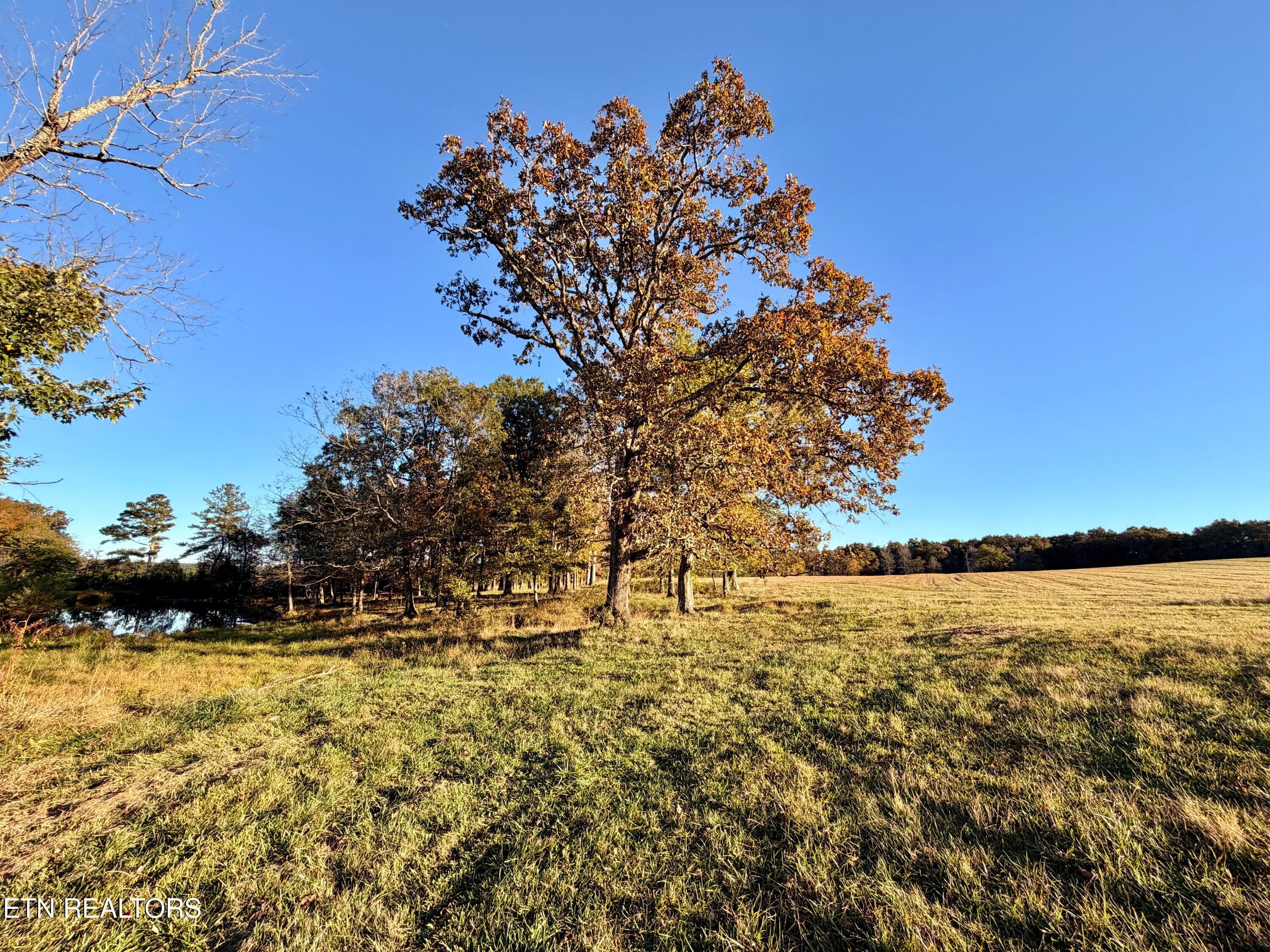 11 - Poke Patch Rd, Crossville, TN 38572
