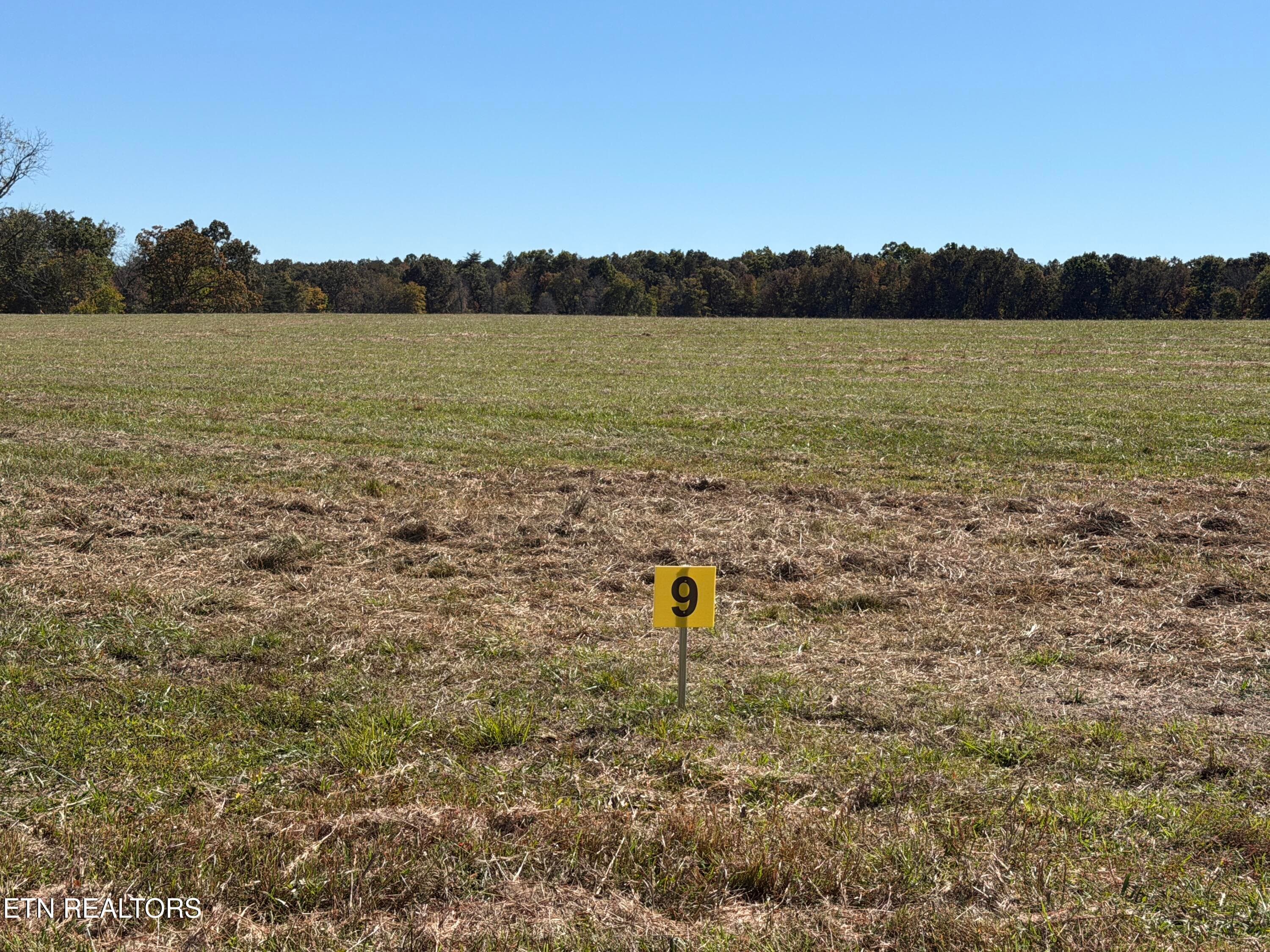 - Main IMG_3420 - Poke Patch Rd, Crossville, TN 38572
